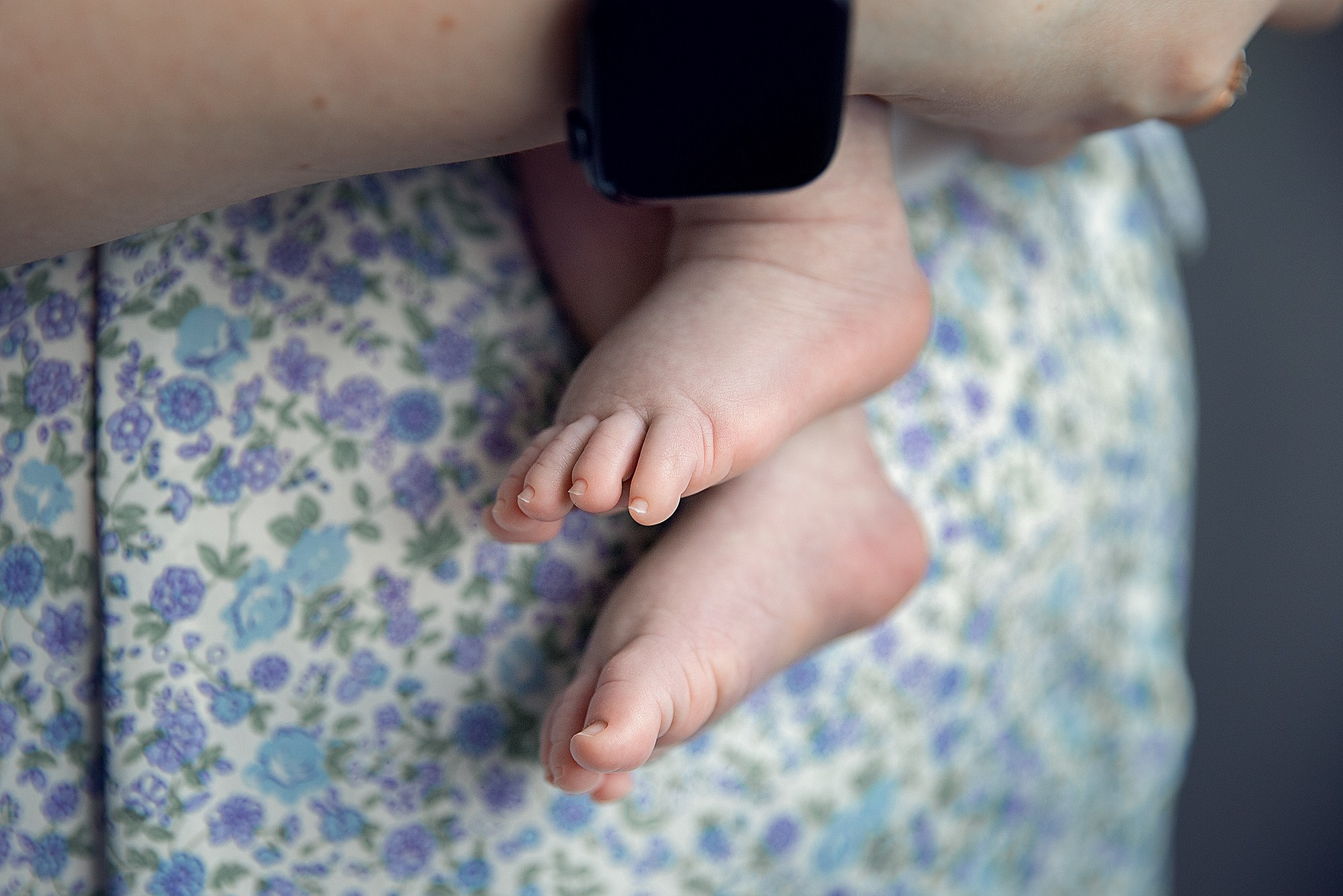 Новорожденные. Фотограф Александр Солнечный