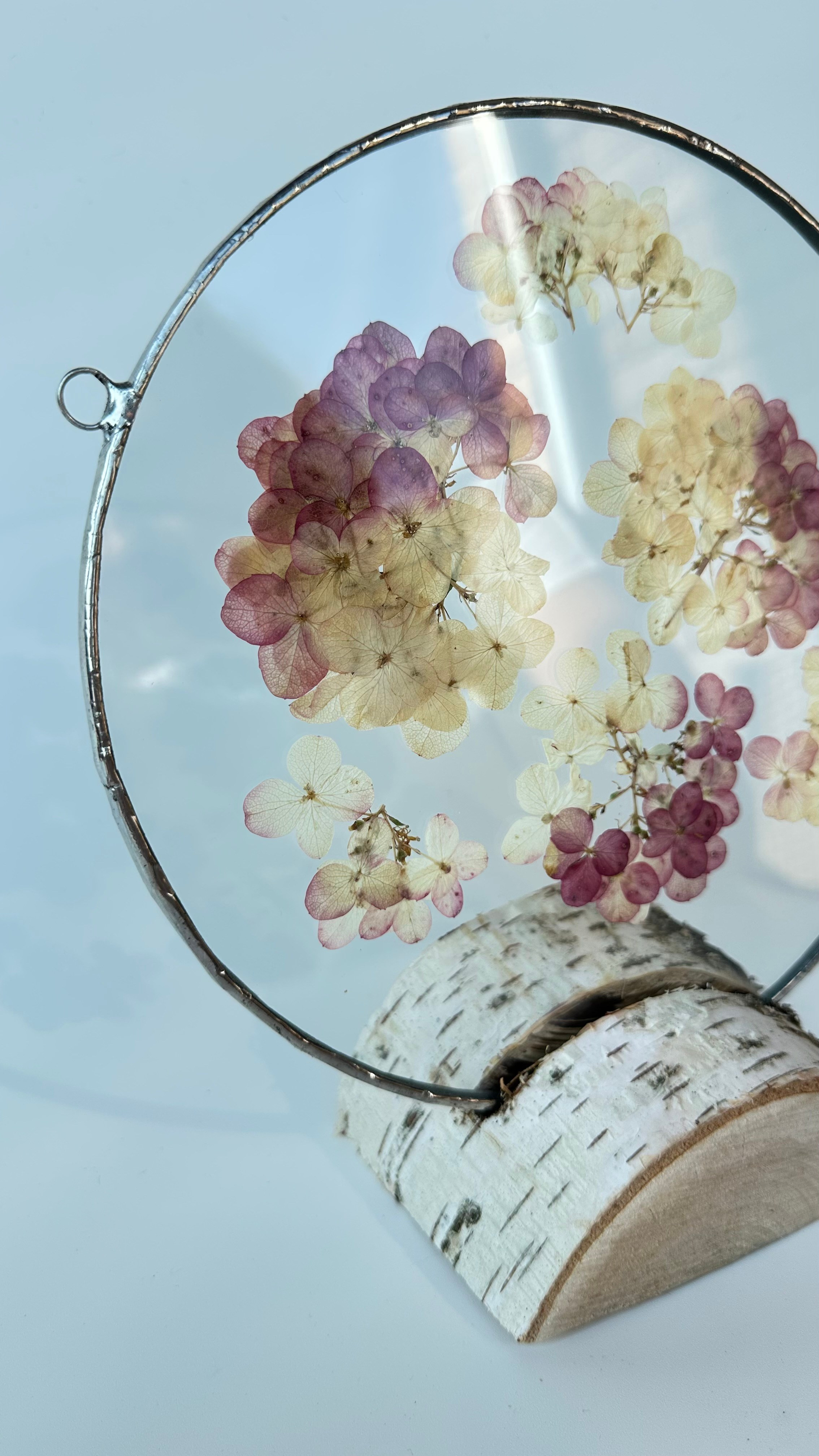 Гортензия круг 20 см. Оформляю пространства. Витражи с сухоцветами в технике Тиффани