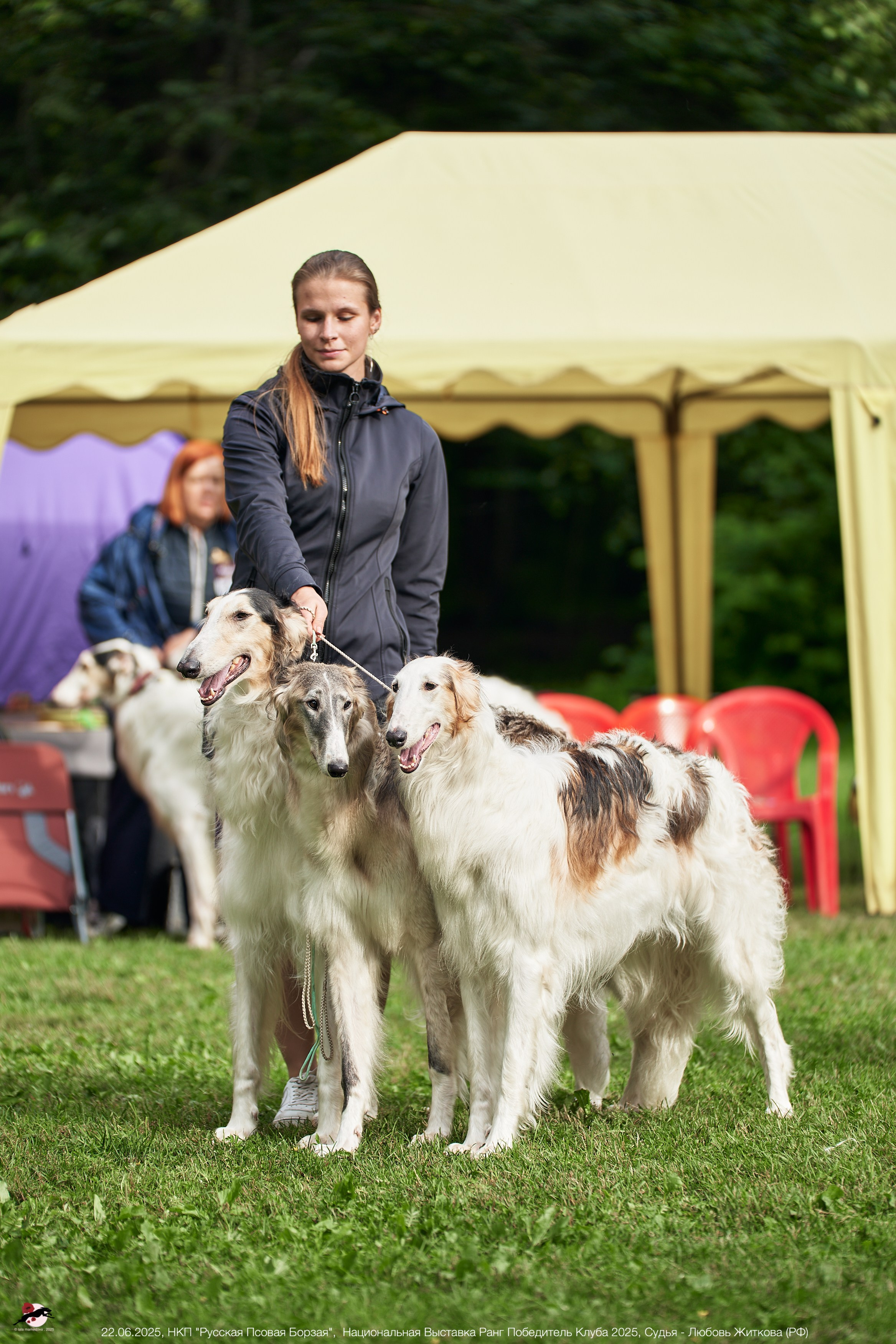 22.06.2025 | Национальная Выставка НКП "Русская Псовая Борзая"