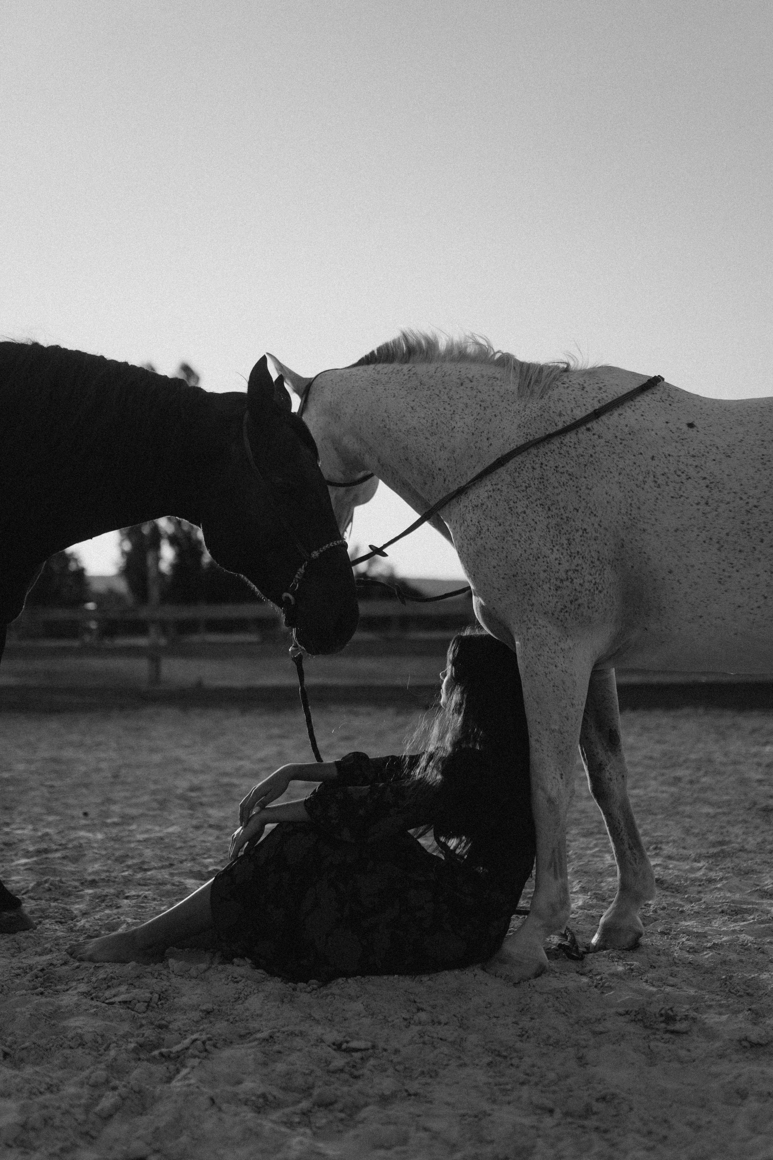 Тепло. Фотограф Дарья Филатова