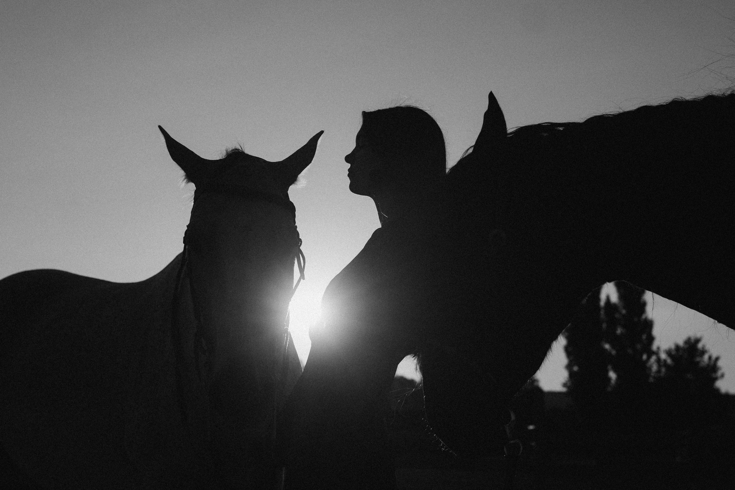 Тепло. Фотограф Дарья Филатова