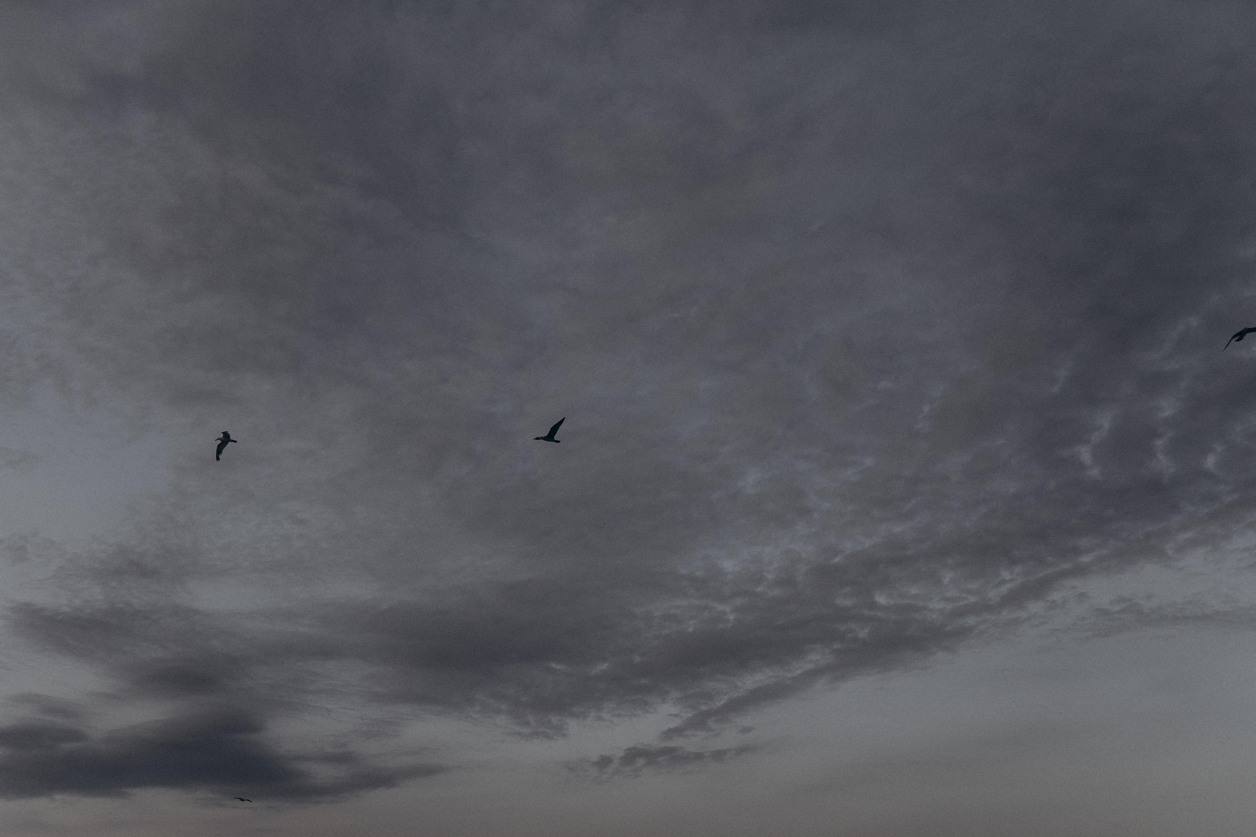 Продолжение тебя. Фотограф Дарья Филатова