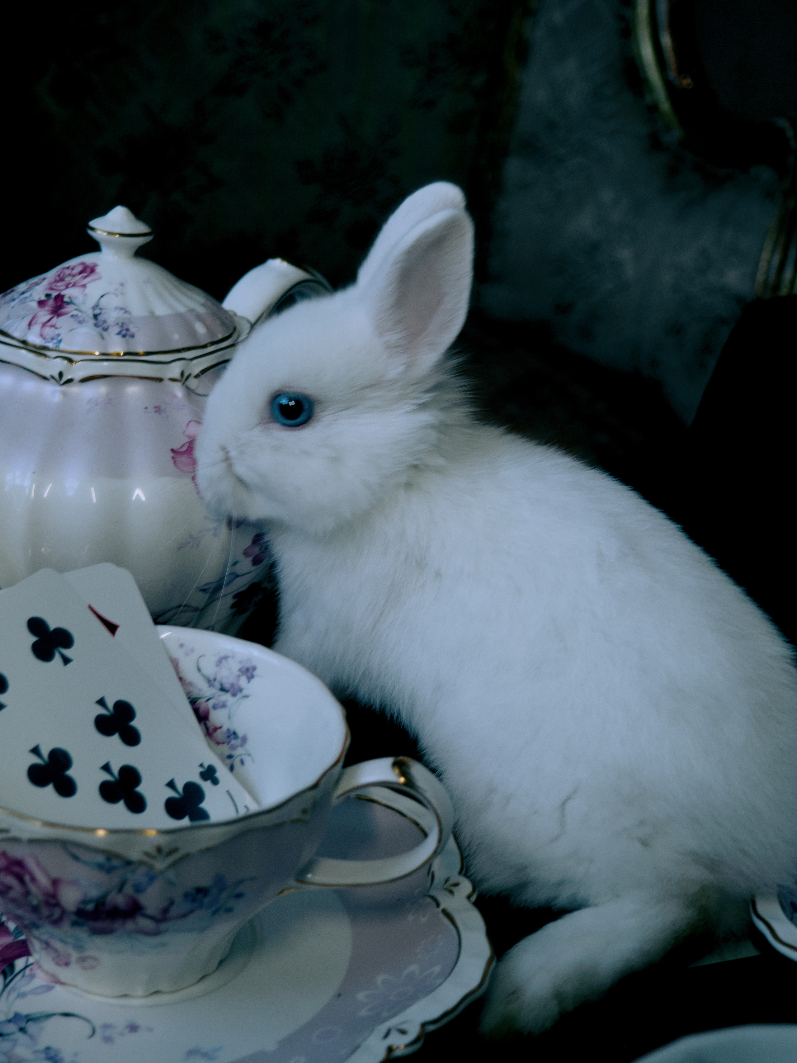 АЛИСА. Меня зовут ОЛЬГА. Я ПЕРСОНАЛЬНЫЙ ФОТОГРАФ, МОСКВА