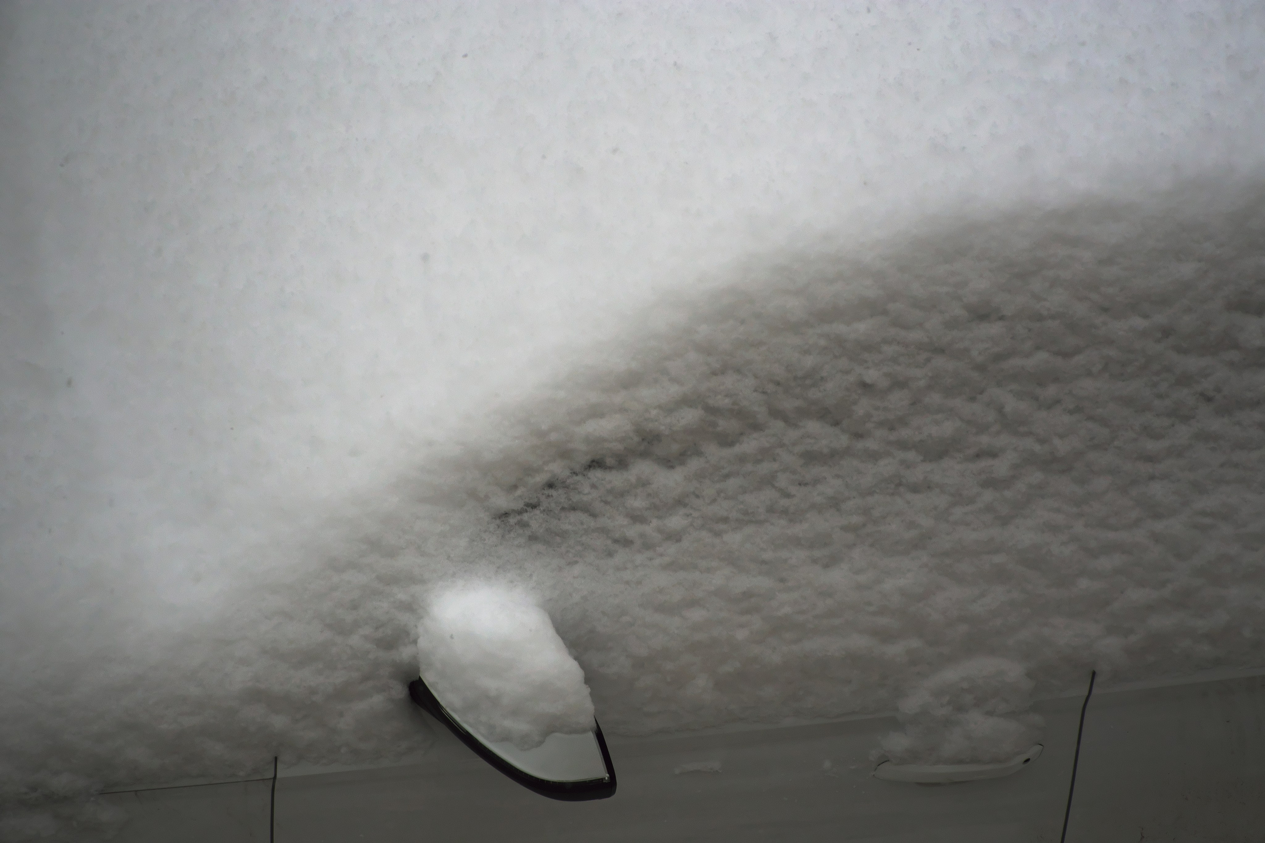 Снег идёт ❄️. Миша Печёнкин | фотография