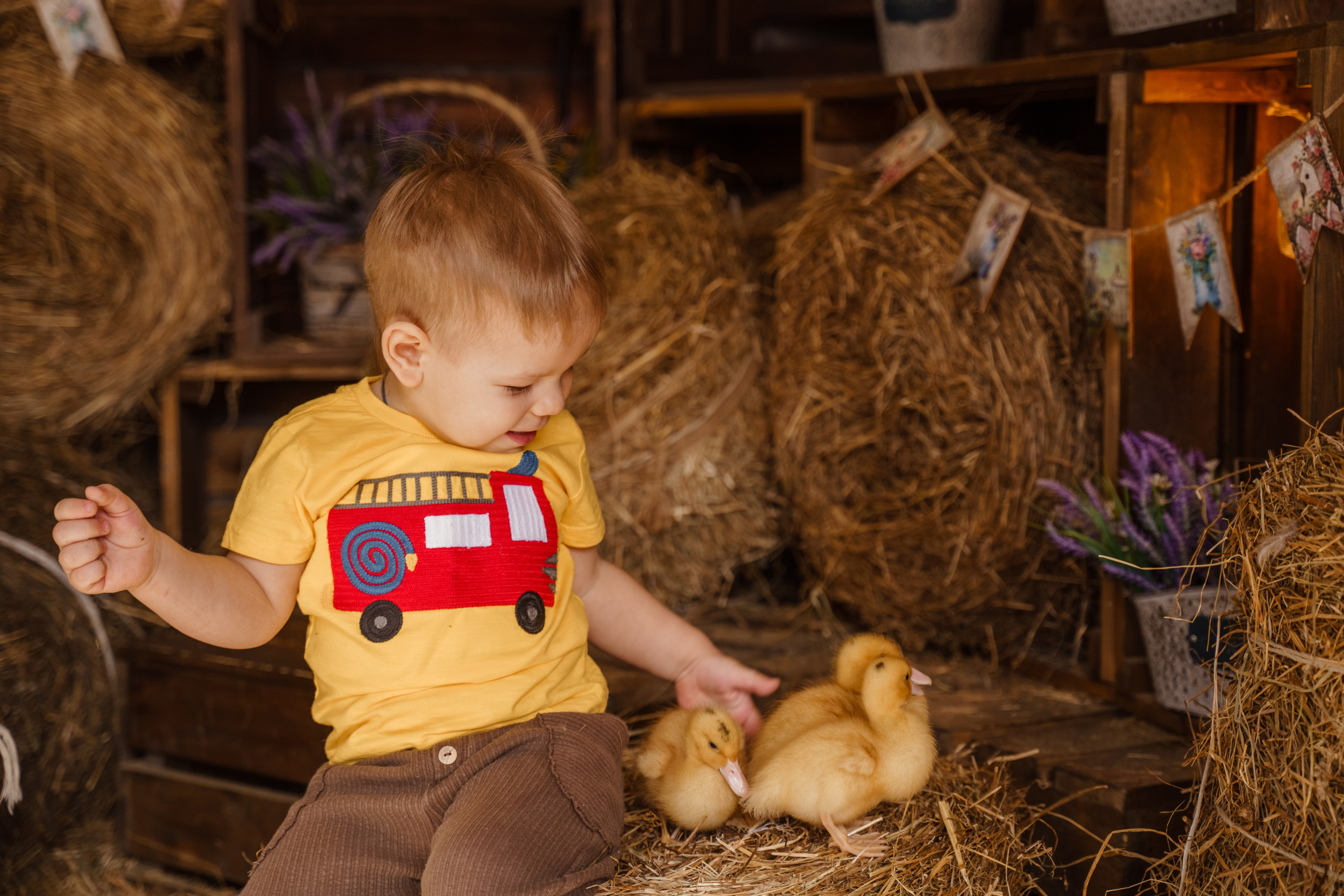 Фотосессия с утятами в студии
