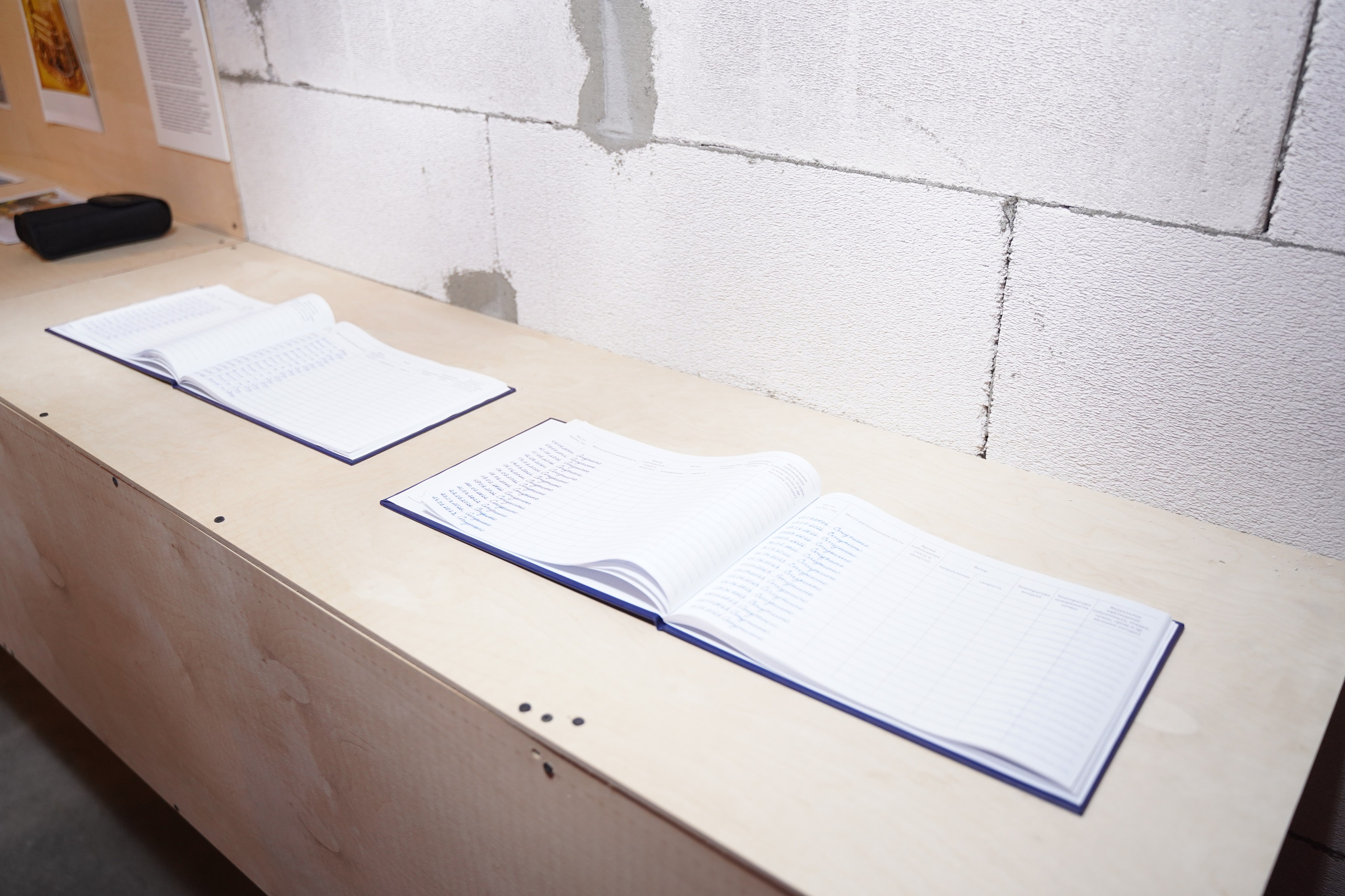 Полуденное, групповая выставка, 26.09-10.10, пространство «Союз», Тула. Лера Круглова