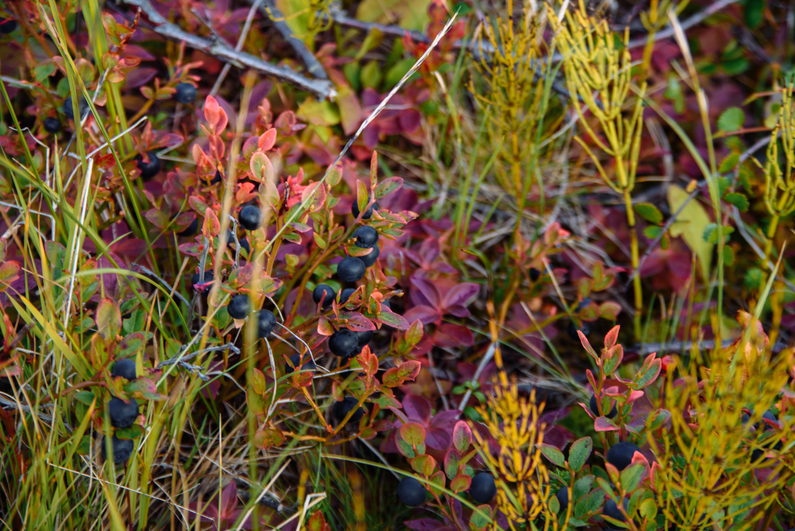 Кольский 2021. Портретный фотограф Москва, репортаж и естественная постановка