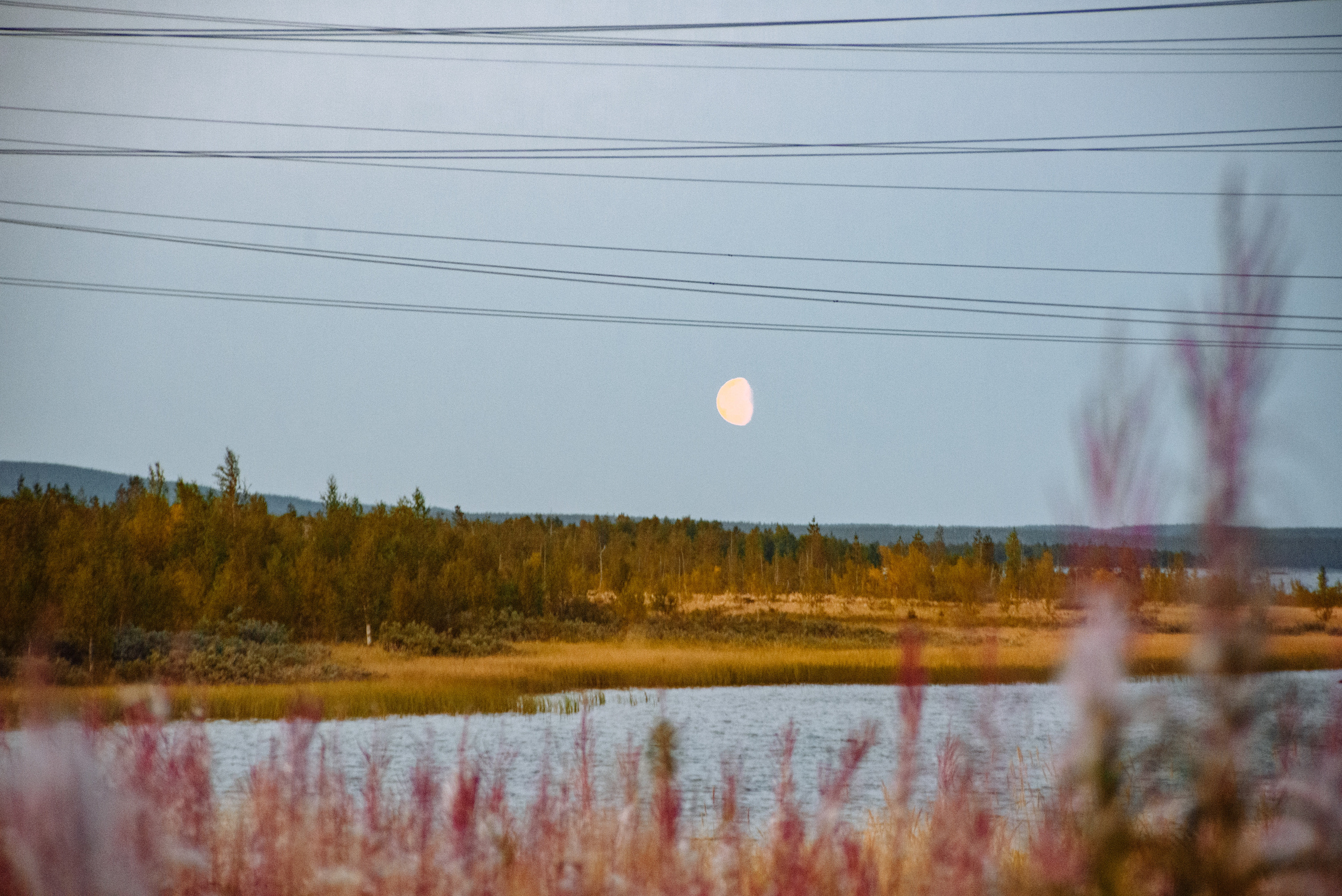 Кольский 2021. Портретный фотограф Москва, репортаж и естественная постановка