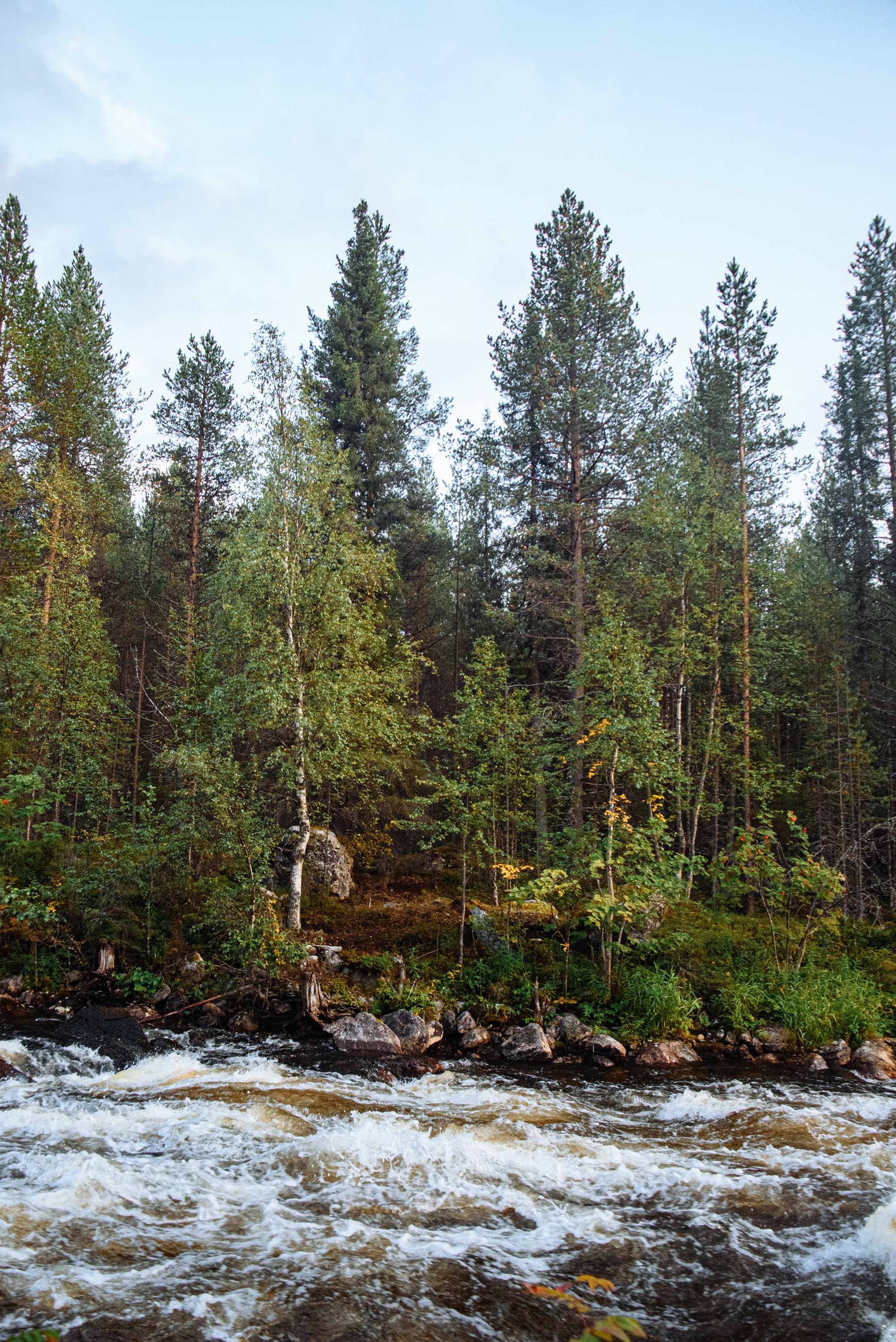 Кольский 2021. Портретный фотограф Москва, репортаж и естественная постановка