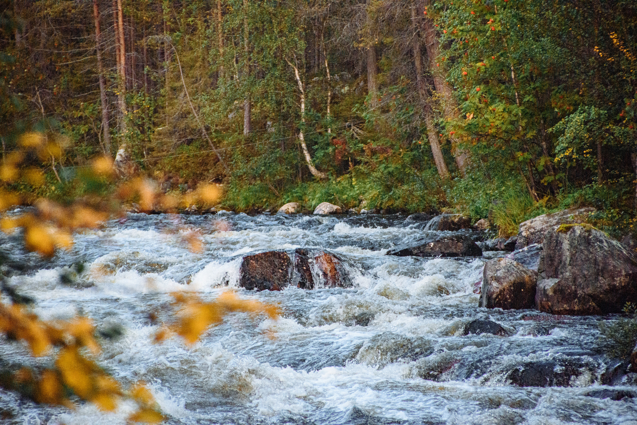 Кольский 2021. Портретный фотограф Москва, репортаж и естественная постановка