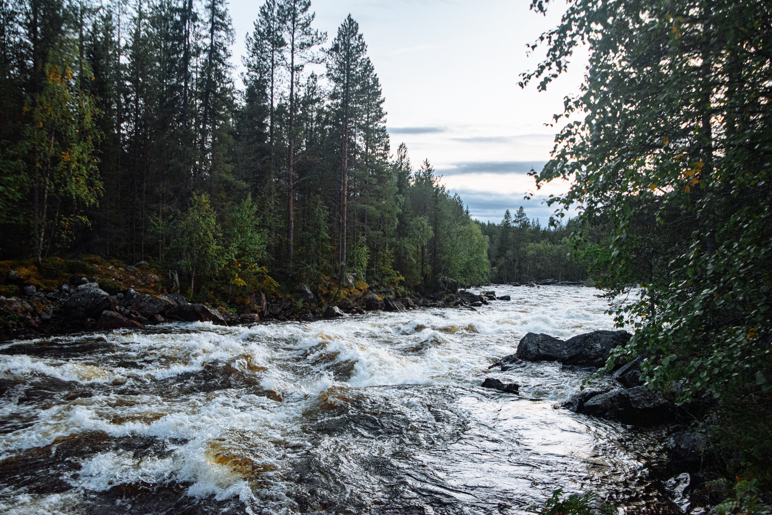 Кольский 2021. Портретный фотограф Москва, репортаж и естественная постановка