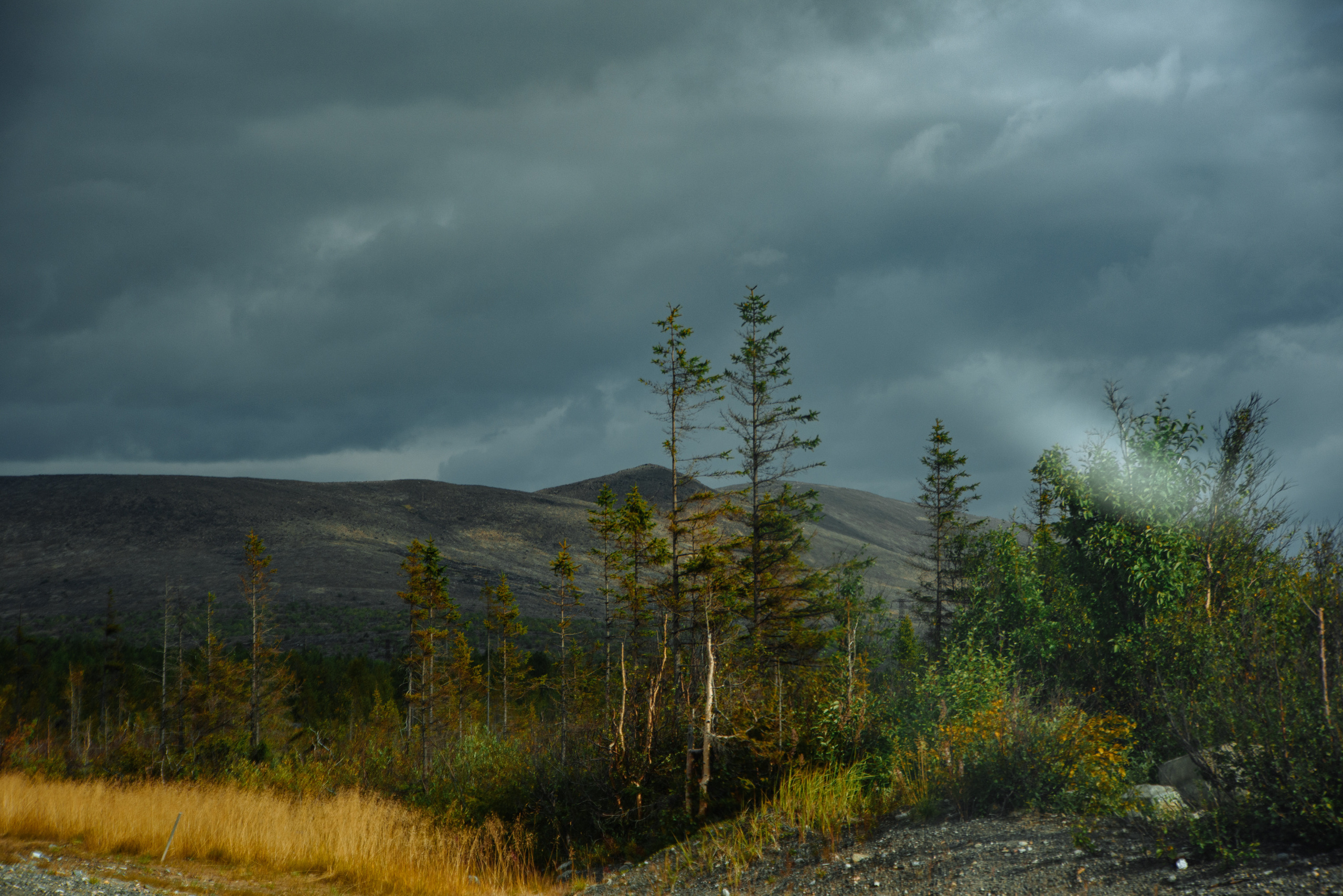 Кольский 2021. Портретный фотограф Москва, репортаж и естественная постановка