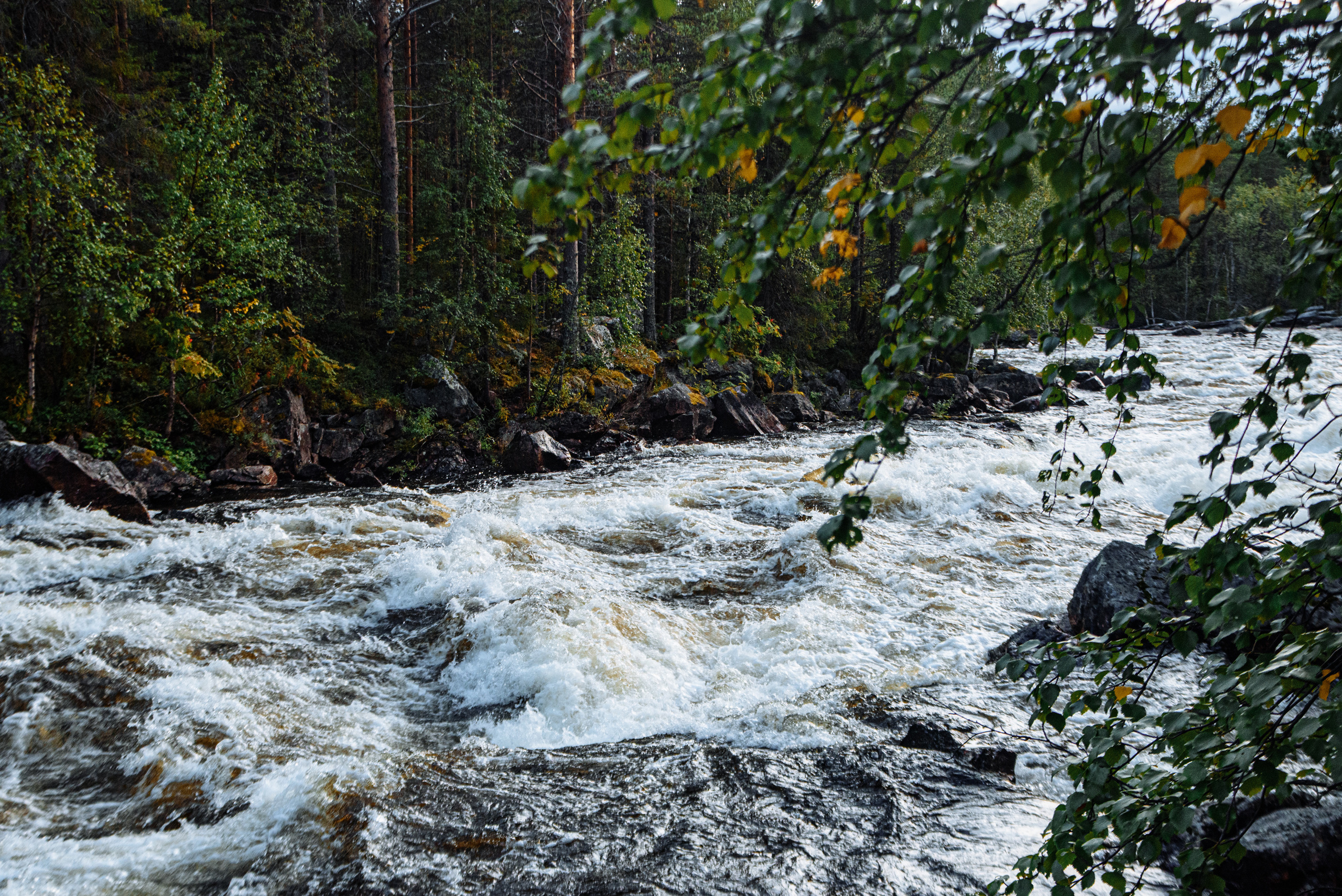Кольский 2021. Портретный фотограф Москва, репортаж и естественная постановка