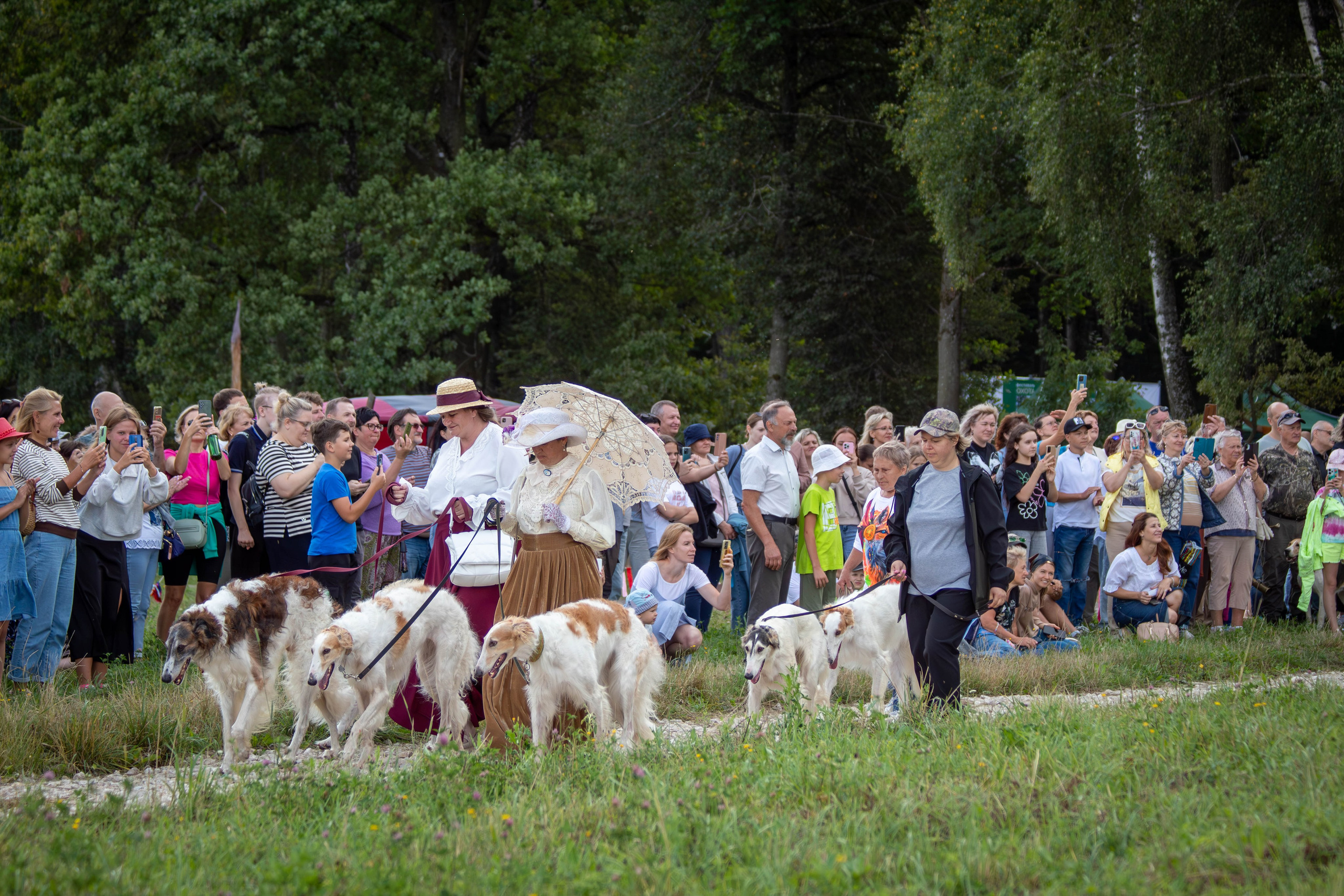 Охота как искусство Ясная поляна. Фотограф анималист — Тула, Москва