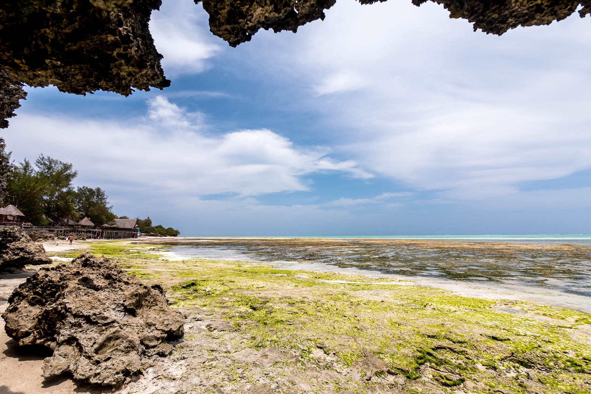 Африка, Танзания, Занзибар, Нунгви. Africa, Tanzania, Zanzibar, Nungwi. Фотограф Алексей Скоробогатько