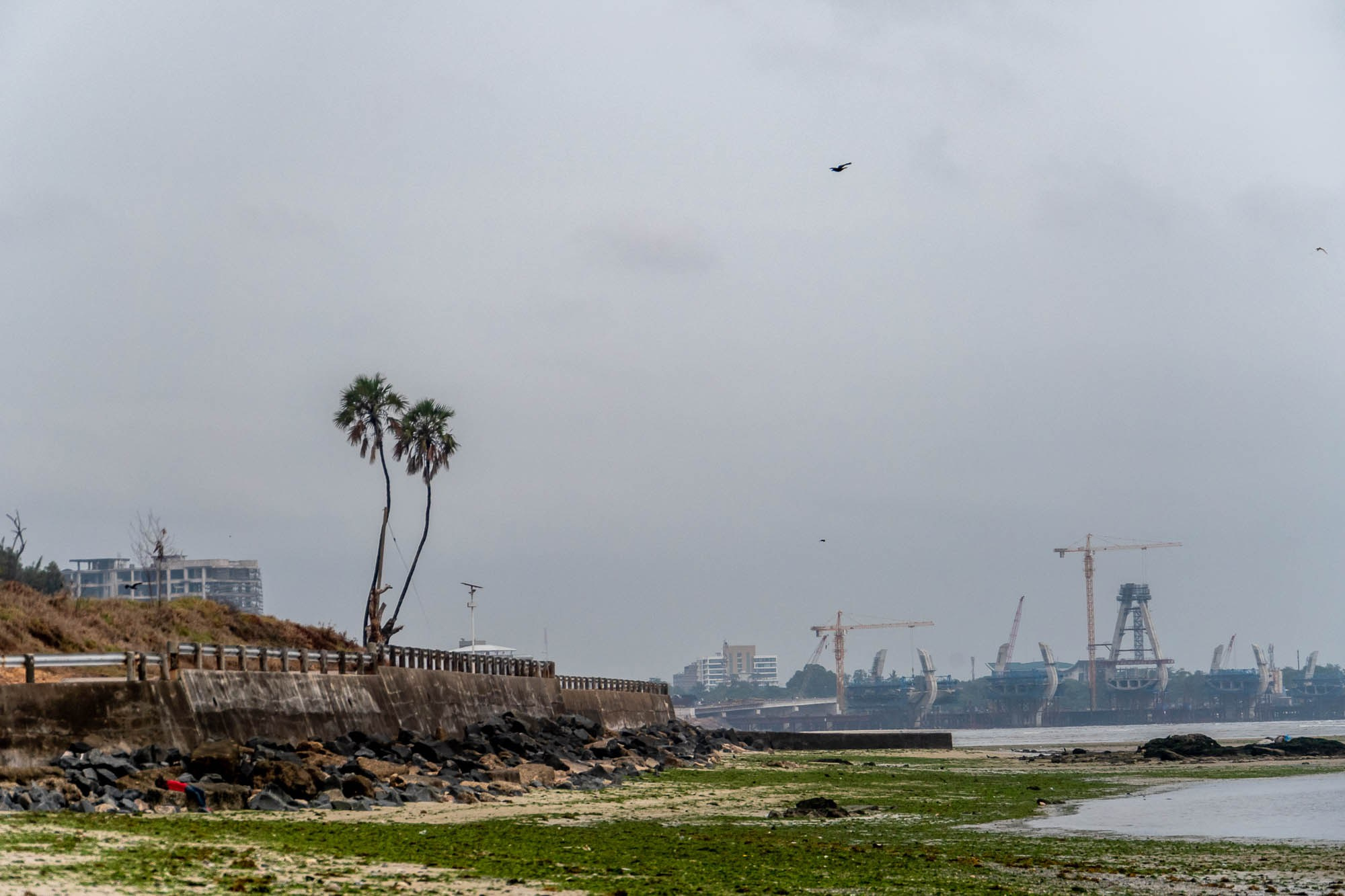 Танзания, Дар эс Салам. Tanzania, Dar es Salaam. Фотограф Алексей Скоробогатько