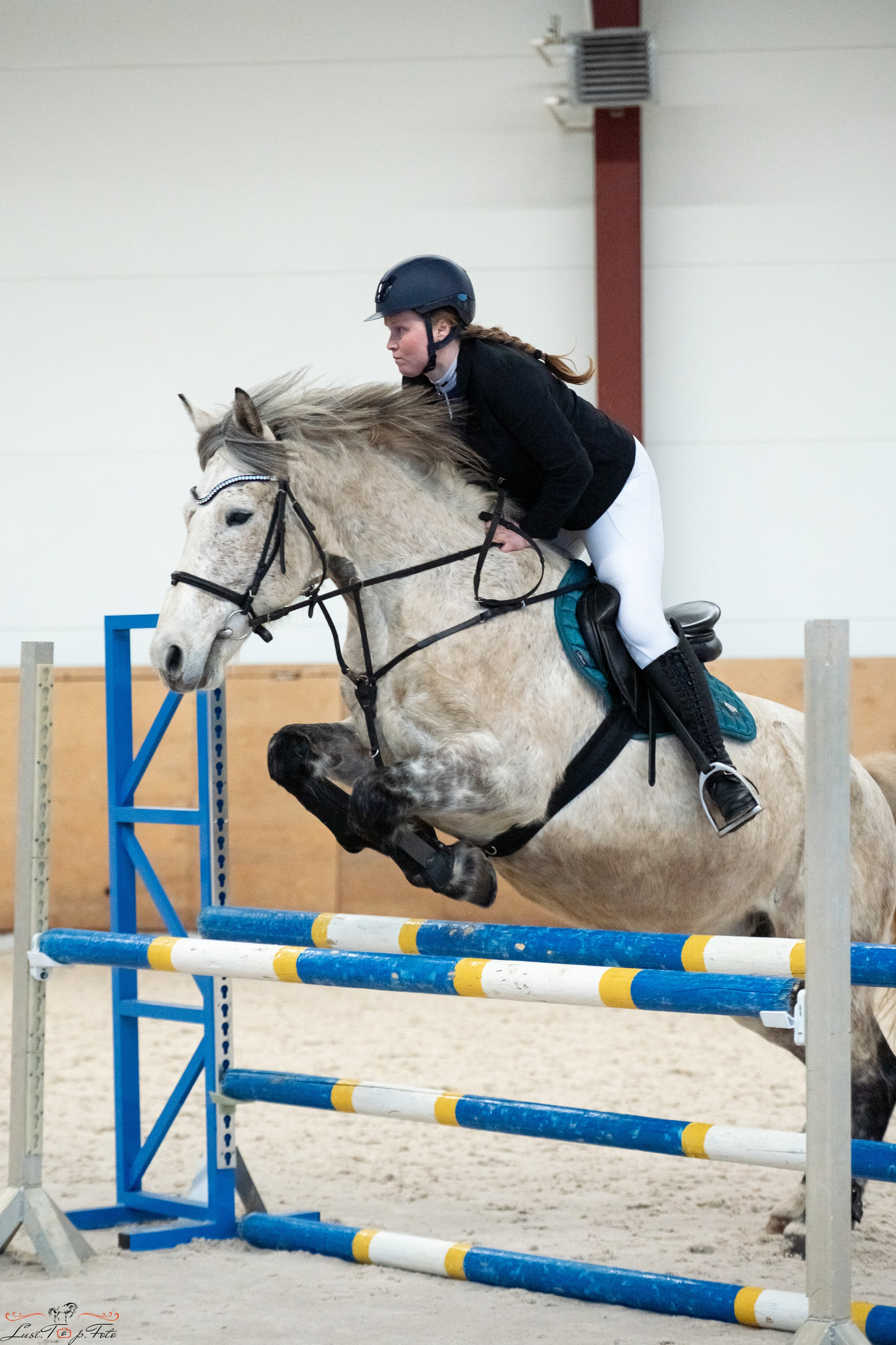 Эквипарк 6 этап Кубка Клубов. Конный и фотограф с животными в Твери Топталова Люся