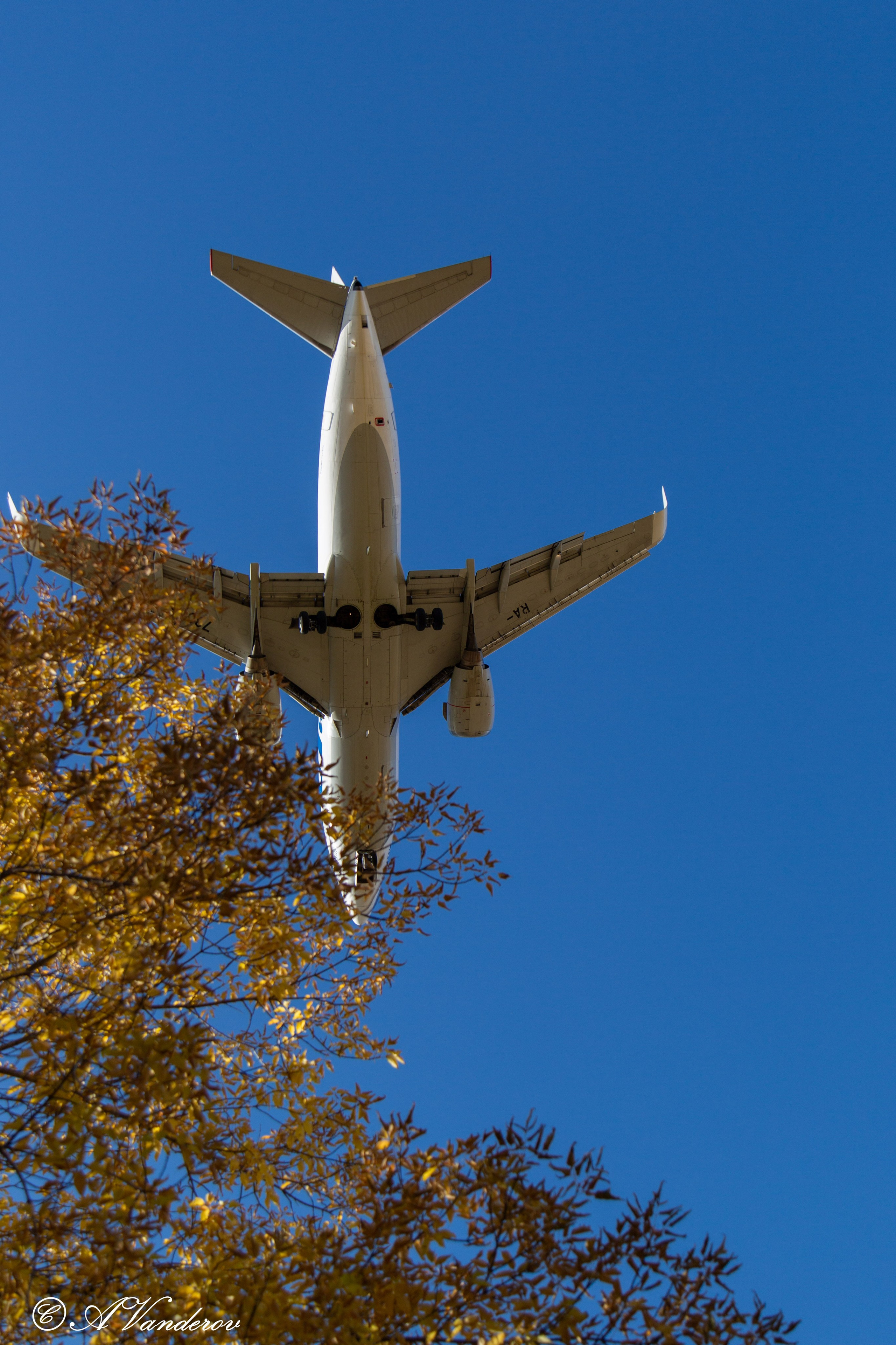 День ходьбы 2024. Фотограф Омск | Александр Вандеров