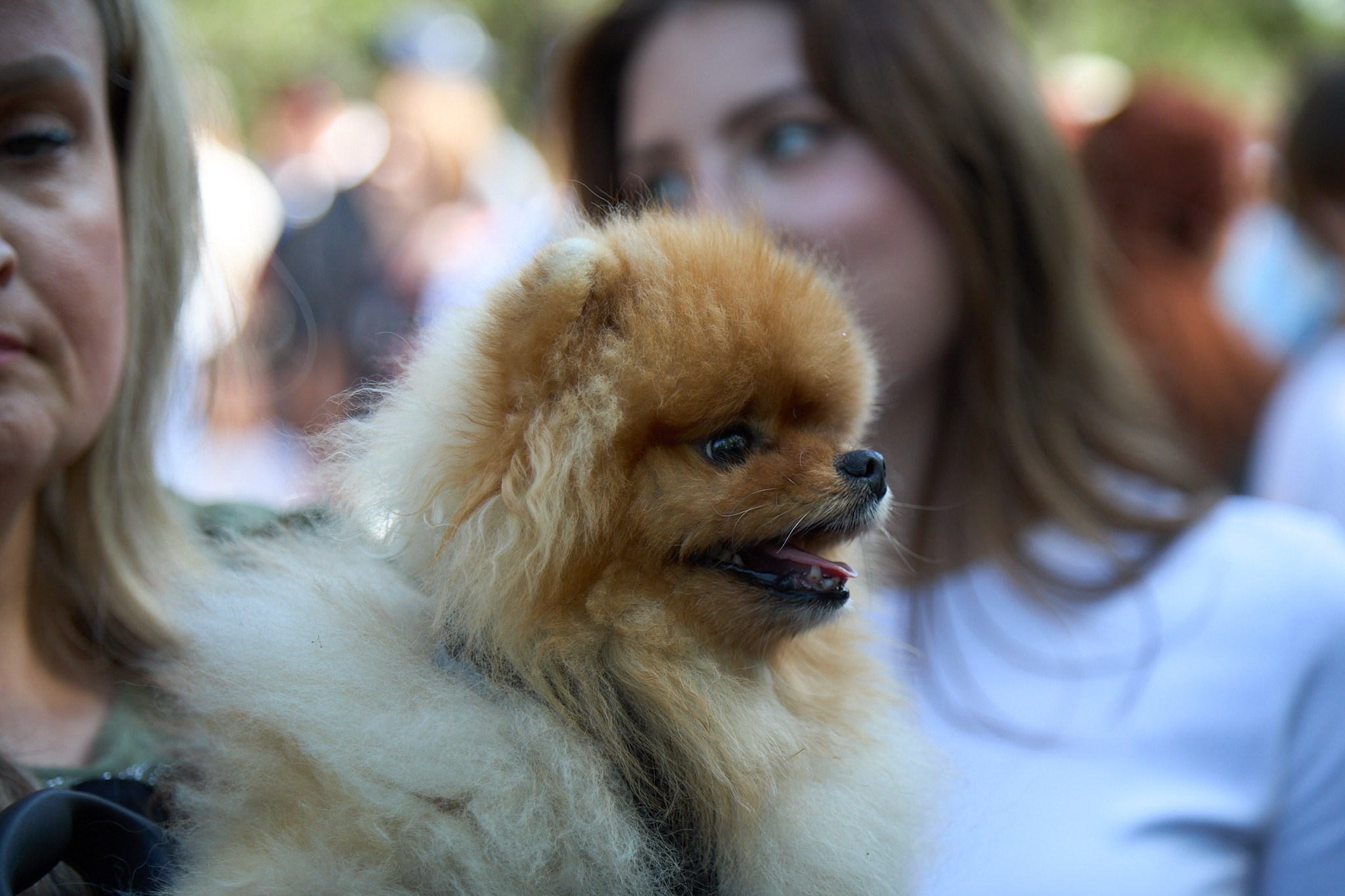 Парк Победы 9 мая 2025 года. Фотограф Омск | Александр Вандеров