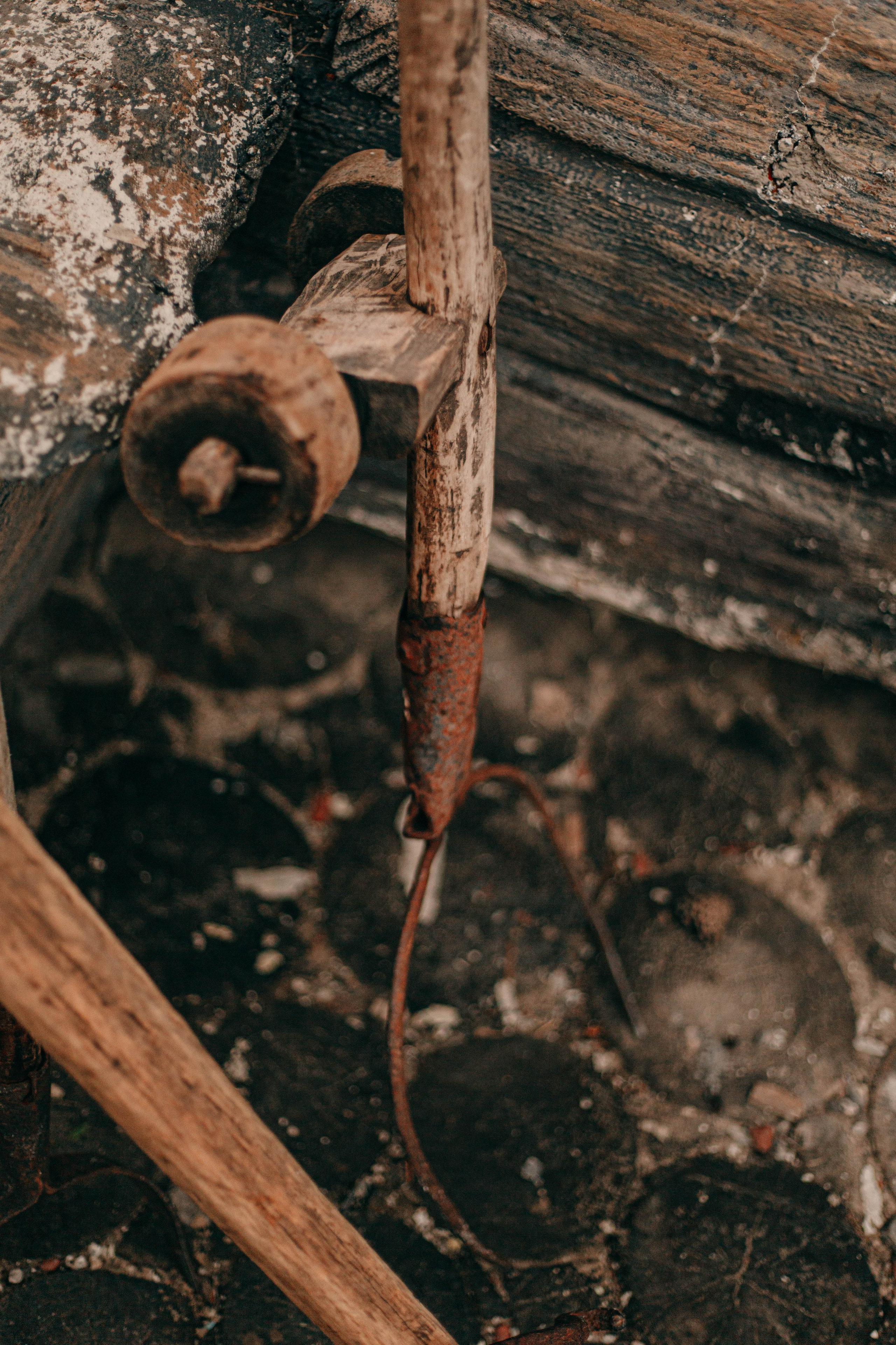 Фестиваль «Абалакское поле». Арт-фотограф Крис Л. в Тобольске: портрет, семейные, свадьбы