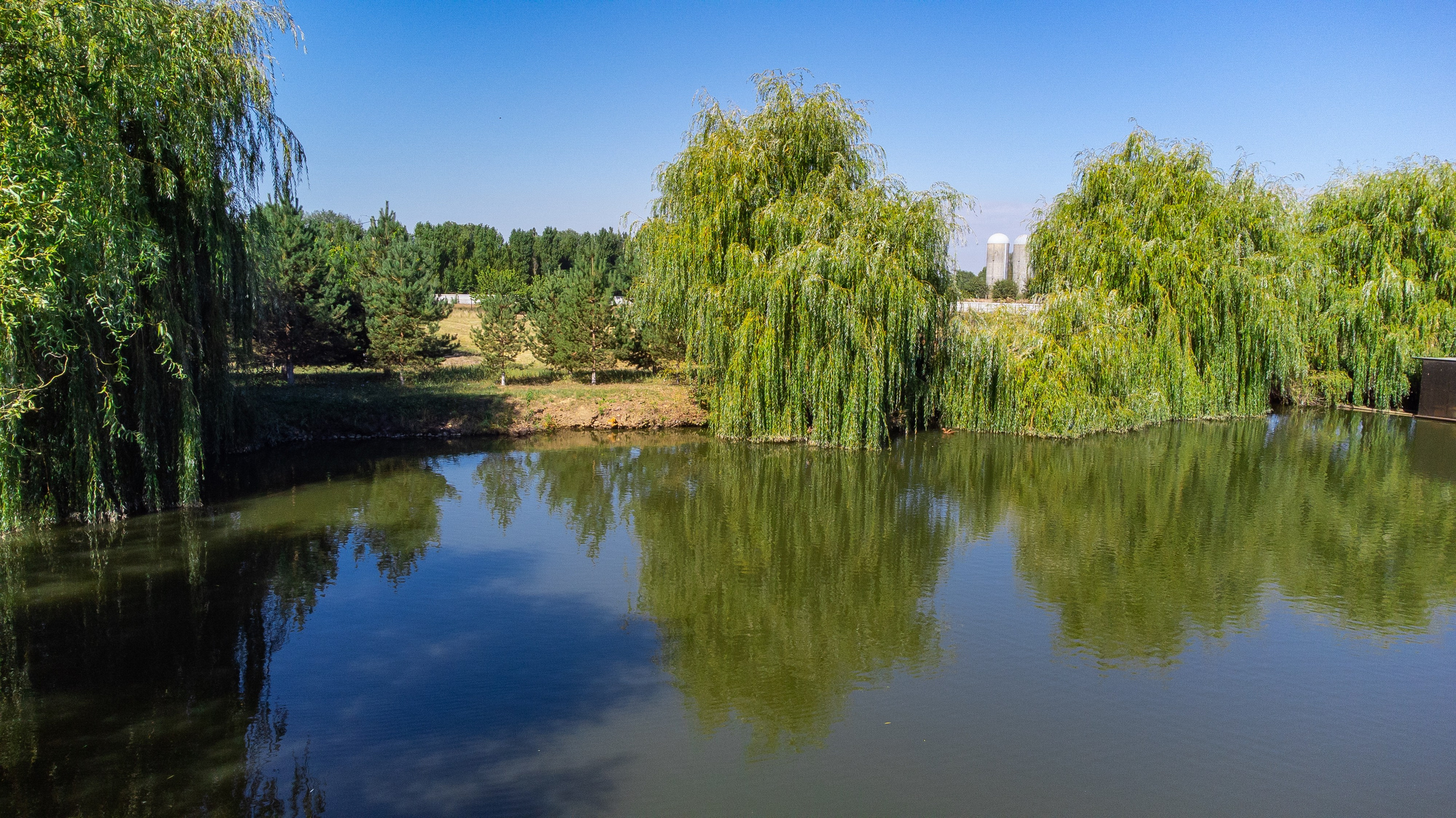 Ильское земельный массив 6,59га. Инвестиционный консалтинг недвижимость