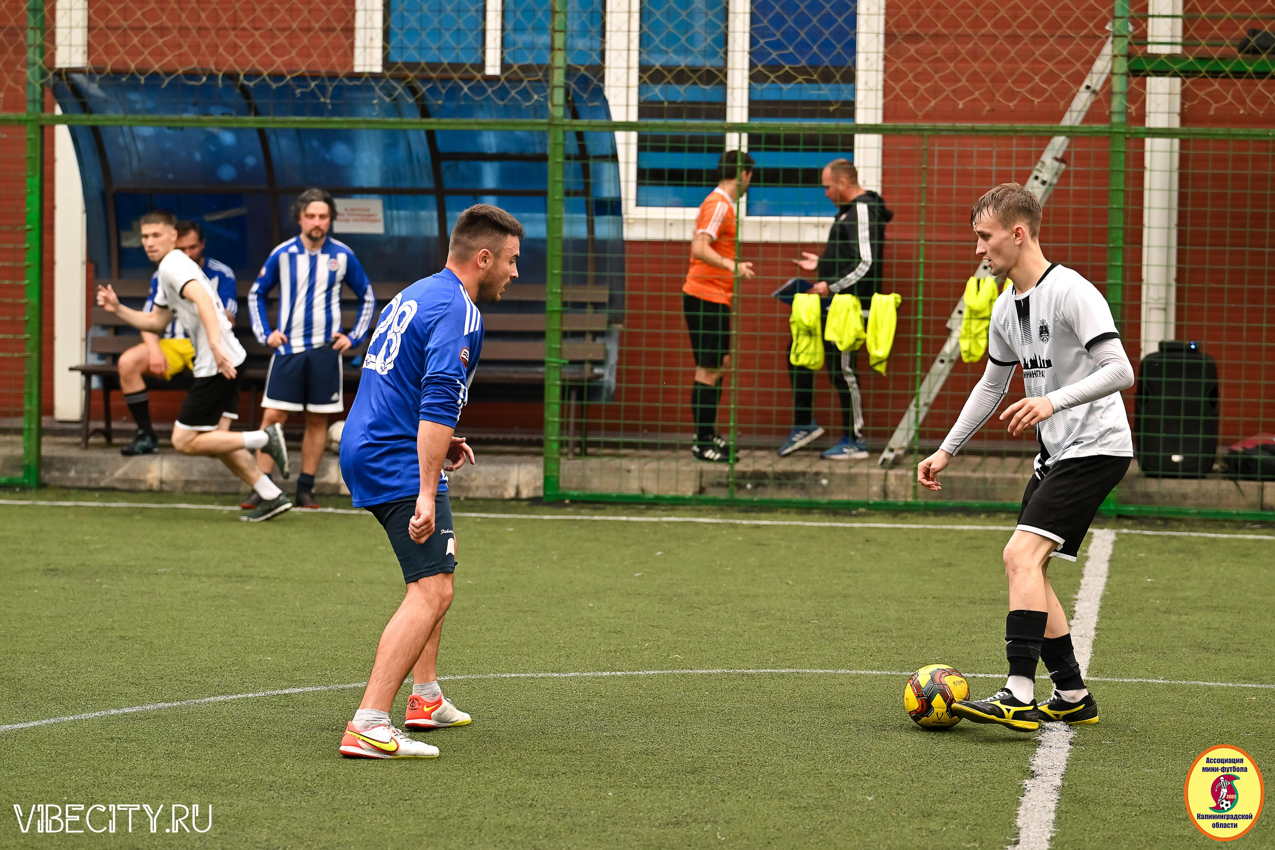 ИГРЫ МИНИ-ФУТБОЛЬНОЙ И КОРПОРАТИВНОЙ ЛИГИ. VIBECITY.RU Вайб Сити Ру Фоторепортажи Фотоотчеты Калининград