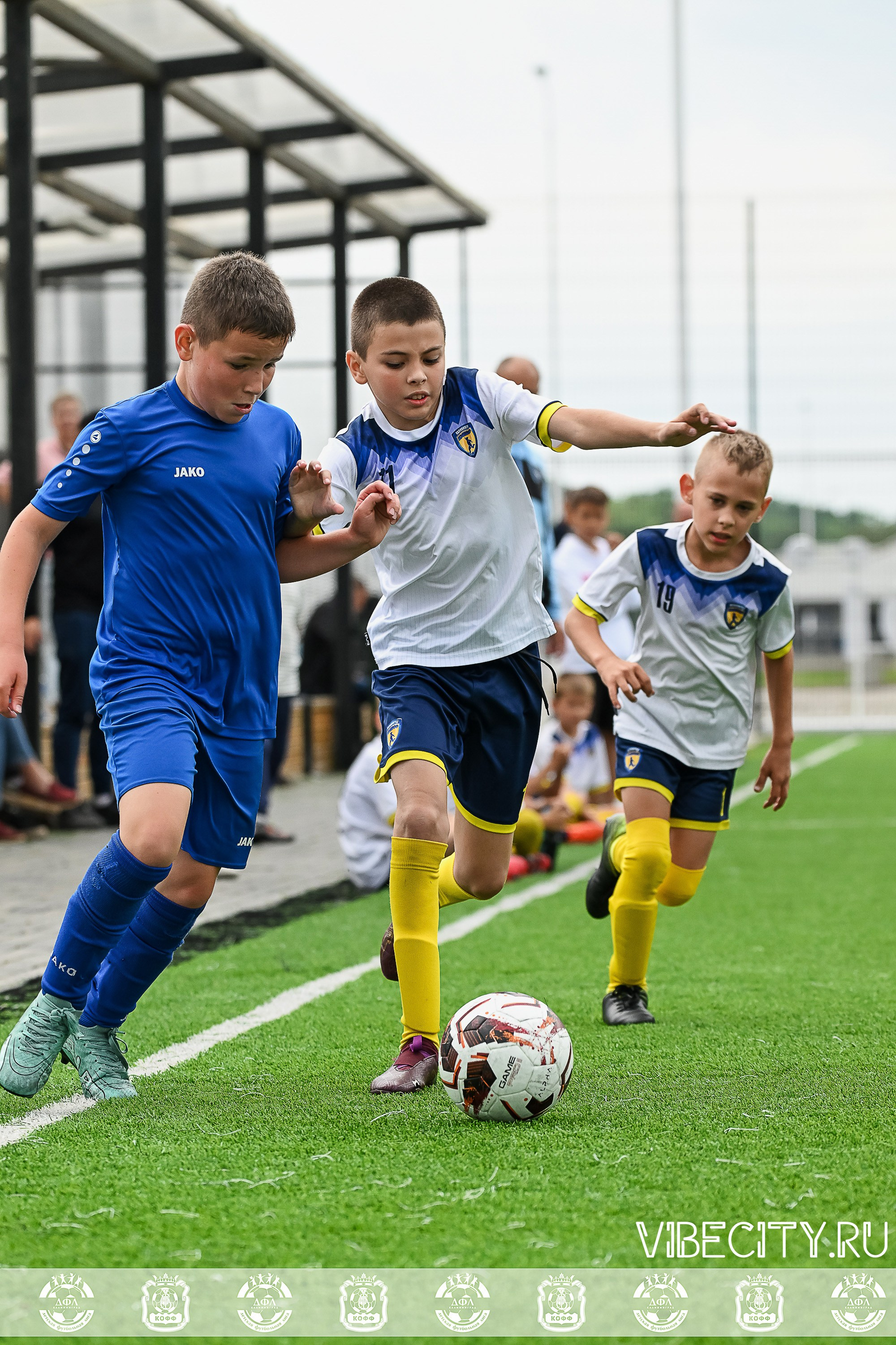 Калининградская Детская Футбольная Лига. VIBECITY.RU Вайб Сити Ру Фоторепортажи Фотоотчеты Калининград