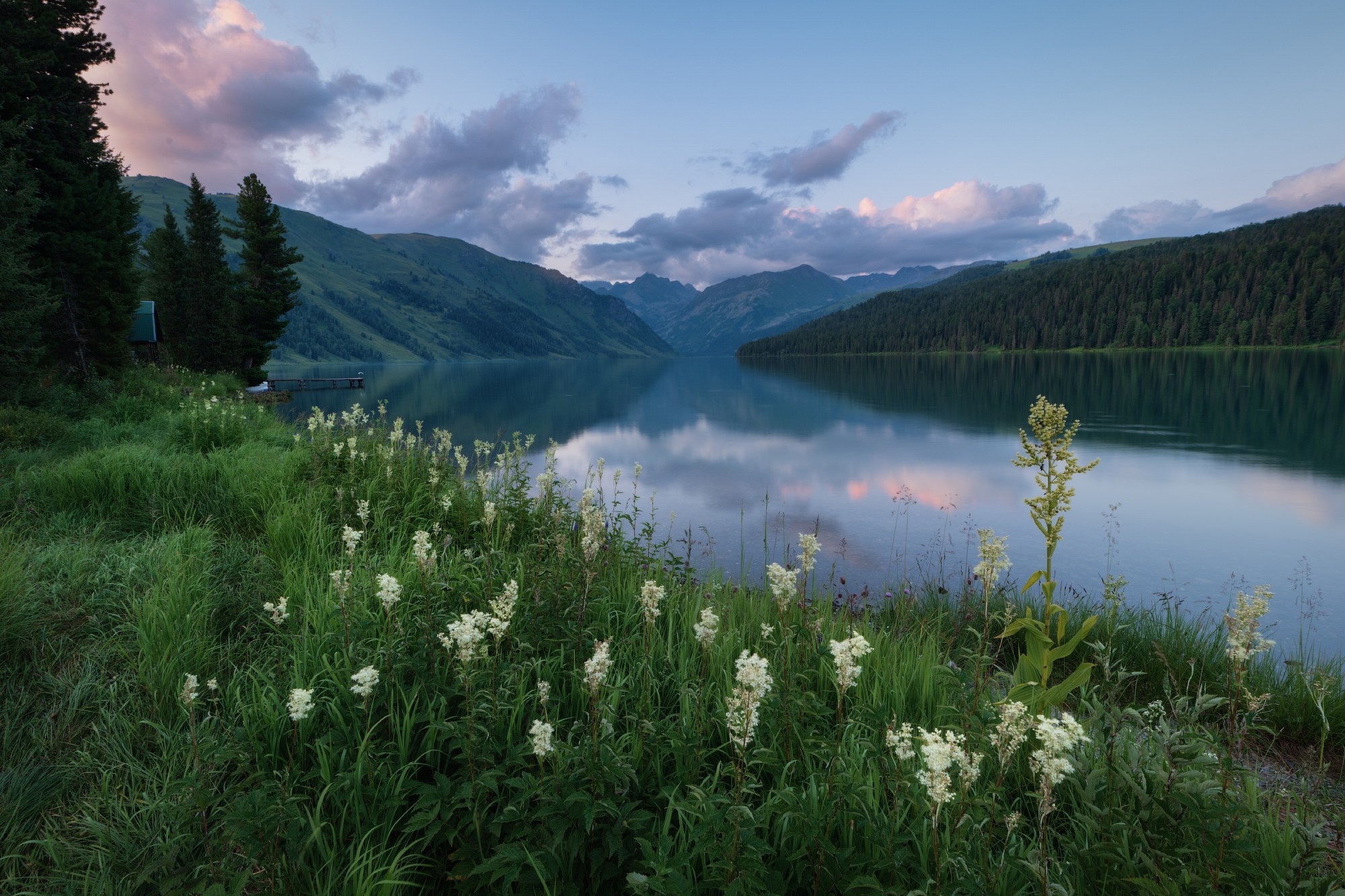 Лето в Горном Алтае. Профессиональный пейзажный фотограф Алёна Рубан