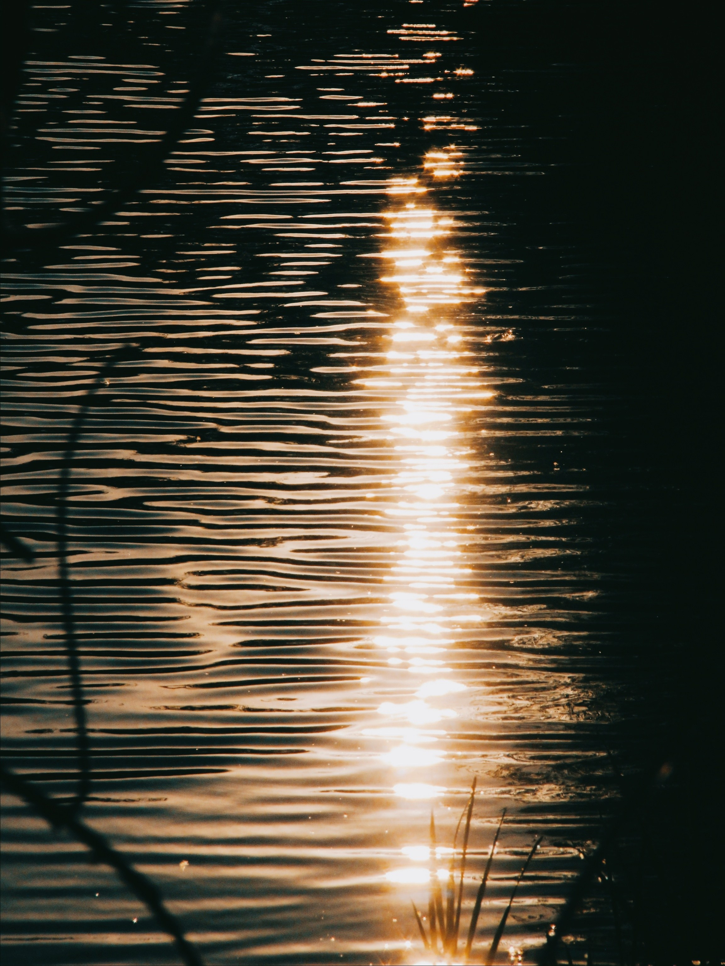Танец света и воды. С любовью, фотохудожник