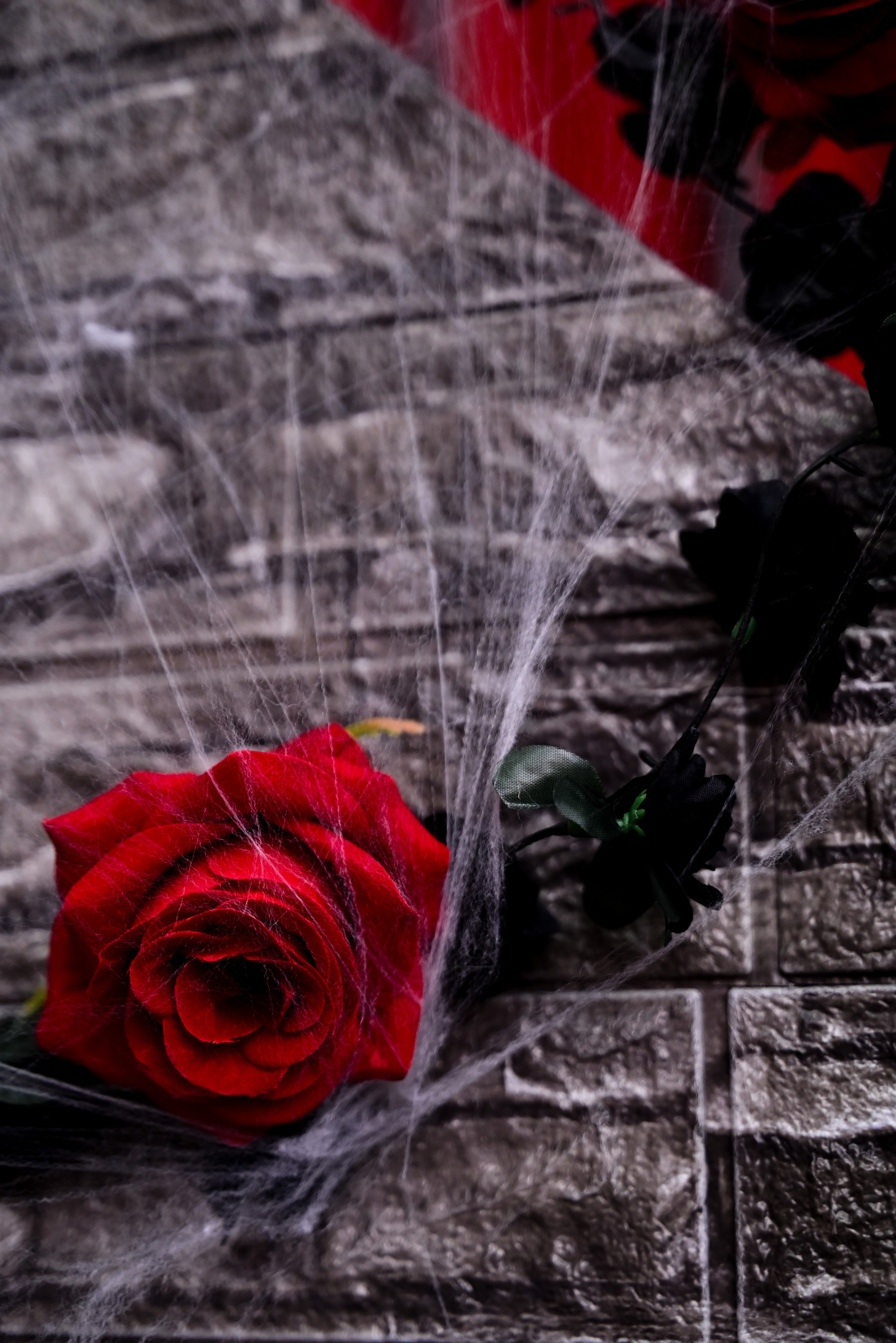 Зал — Sweet. Фотостудия Зефир. Фотосессии в студии под ключ. Москва. Семейные и детские фотосессии