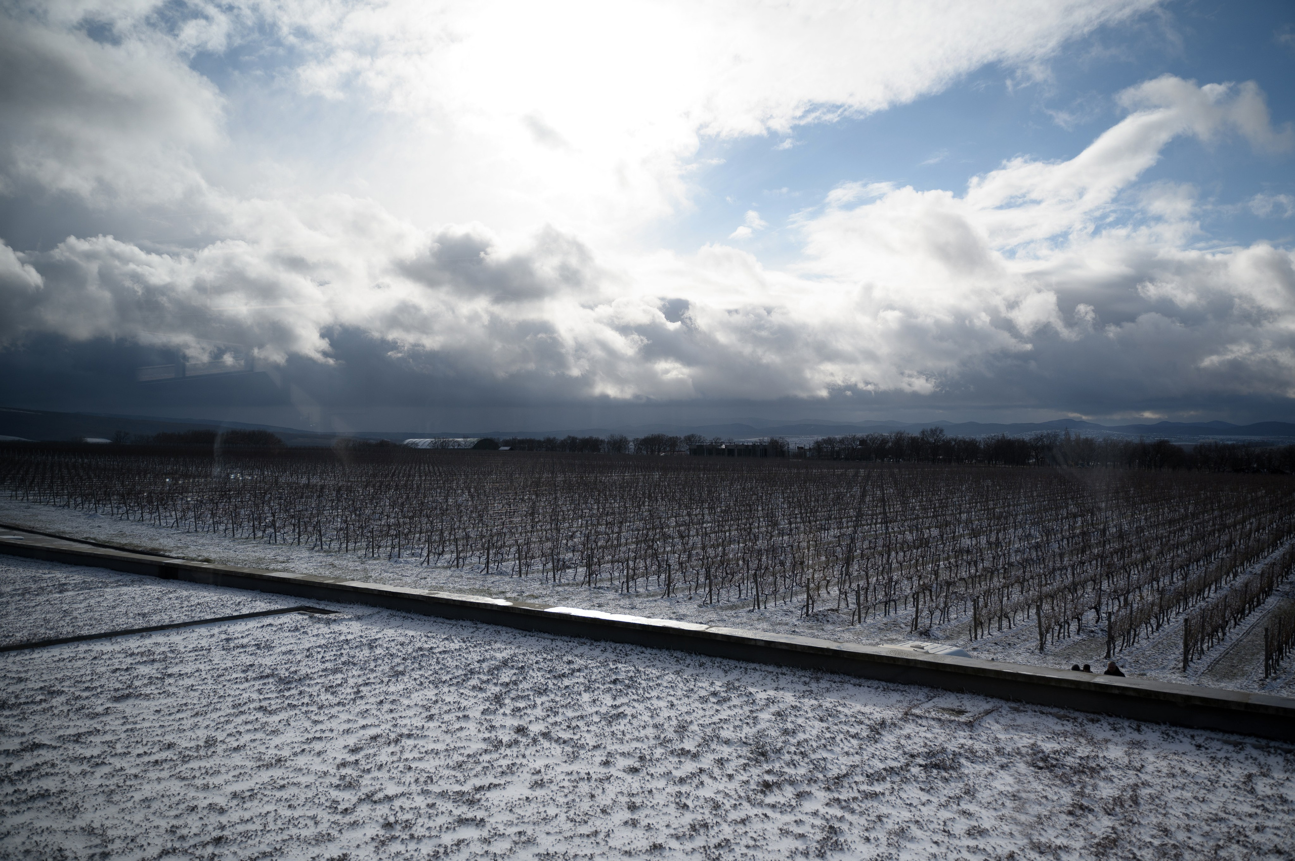 Репортажный фотограф Сочи