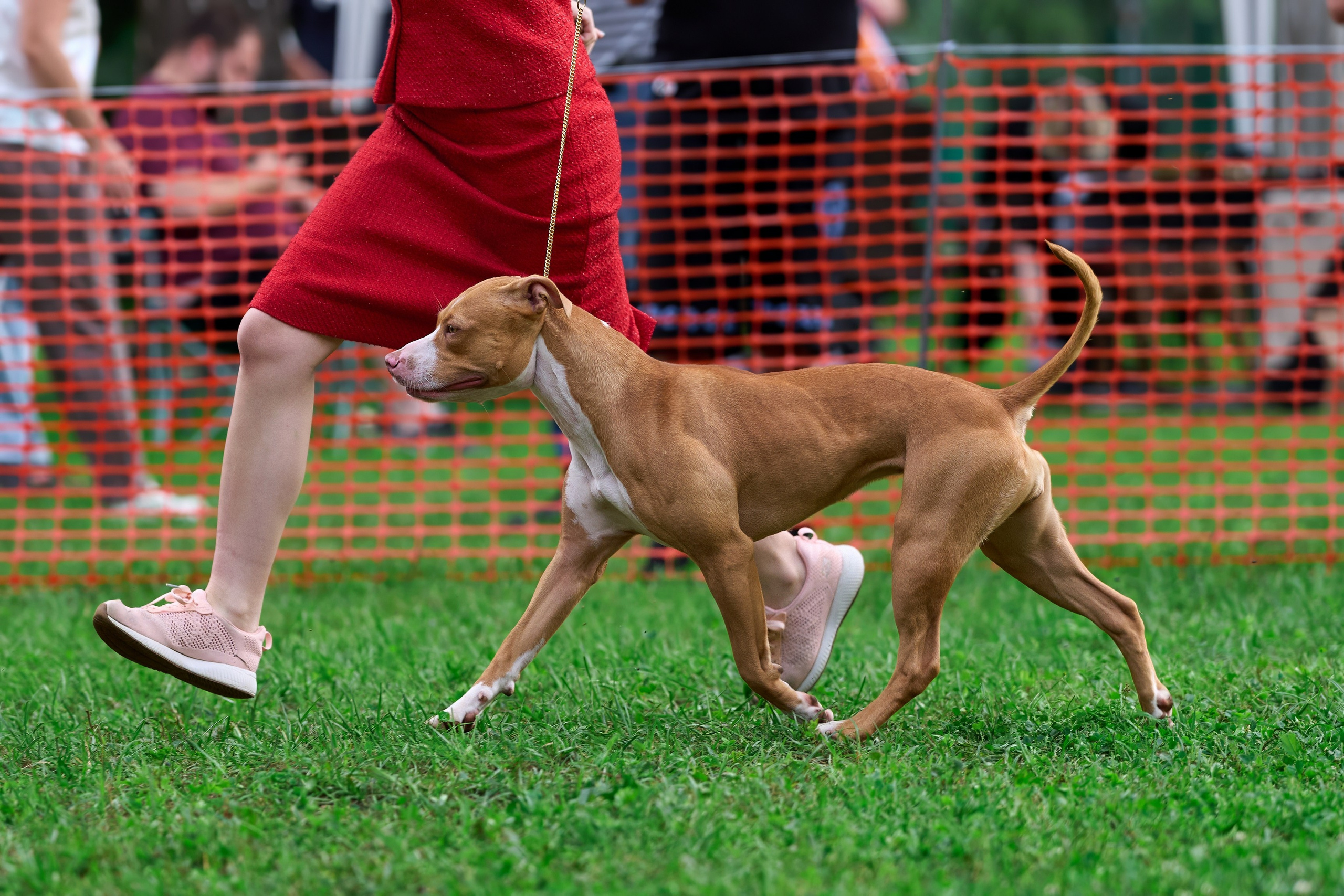 Золотой Кубок — 2024. Фотограф-анималист Михаил Манухин