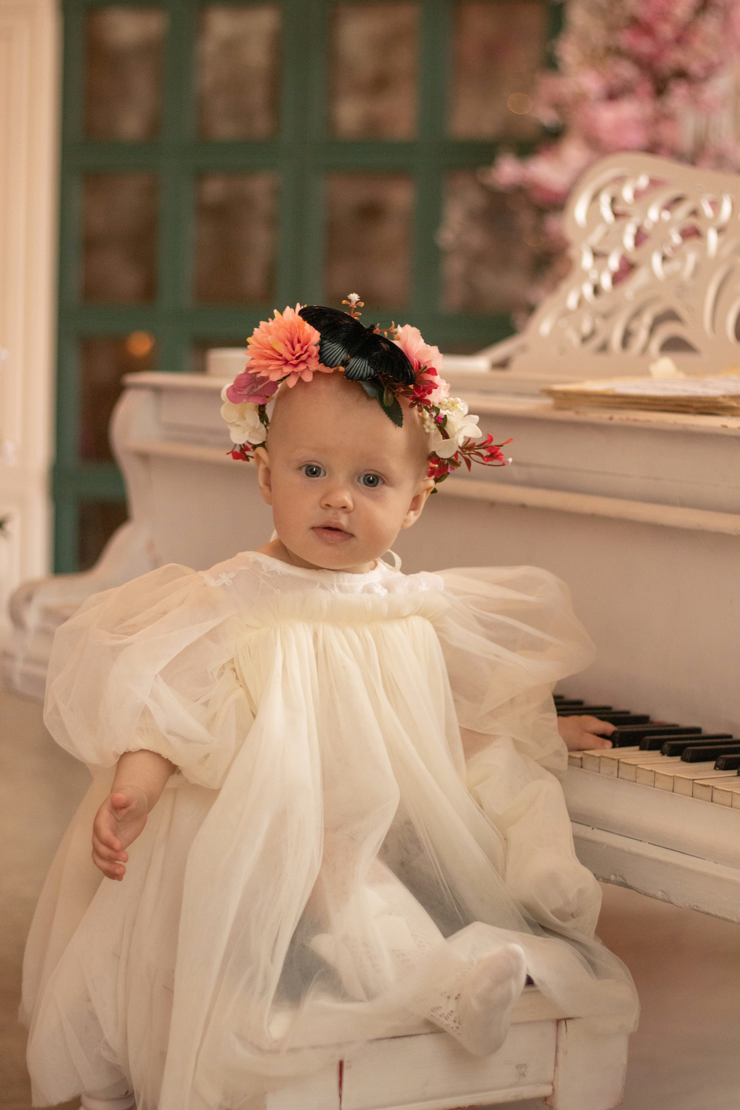 Стоимость. Семейный фотограф Дарья Саранча Всеволожск Санкт-Петербург