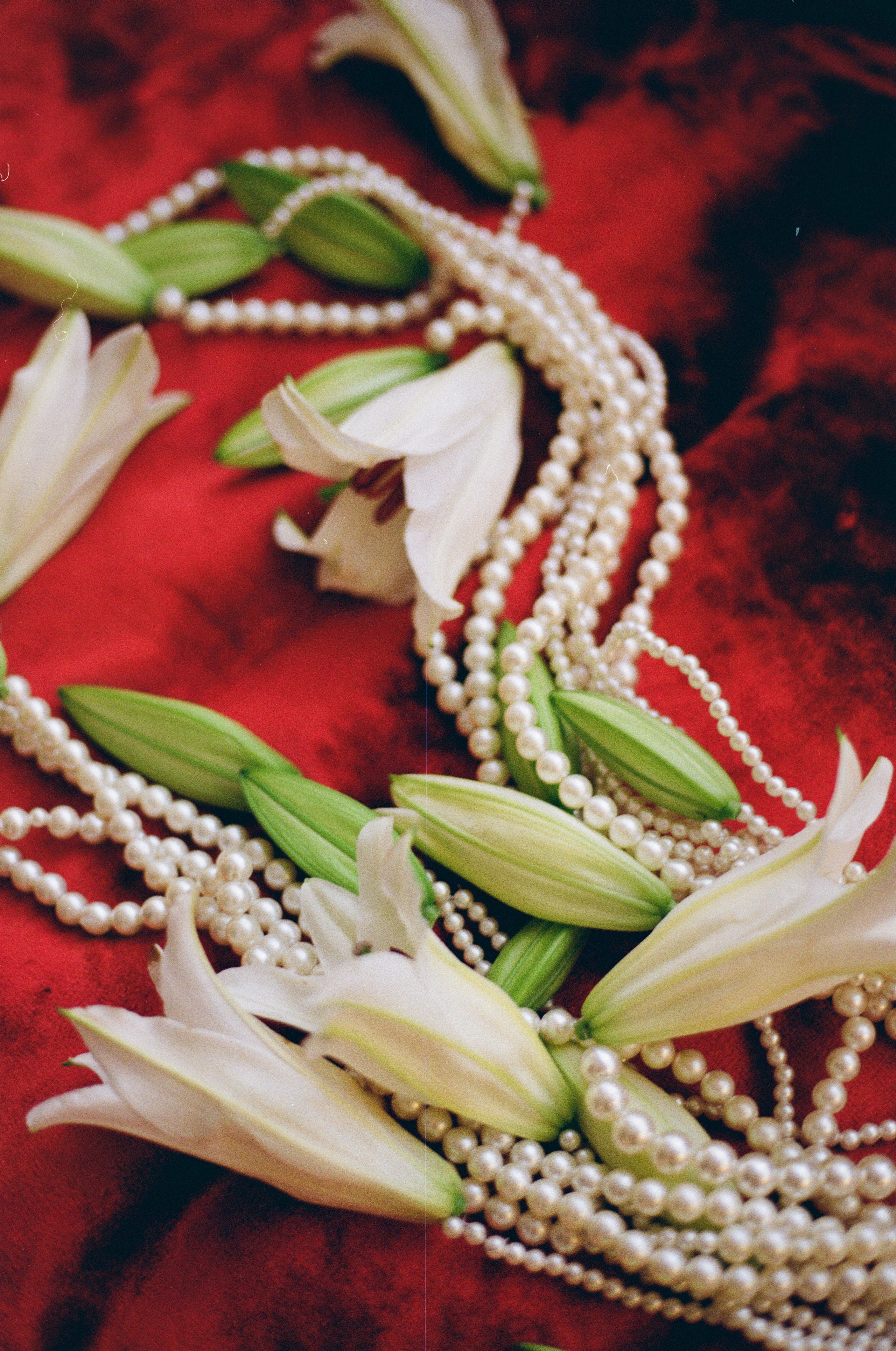 Плёнка. Павел Мерк. Стильная свадебная фотография