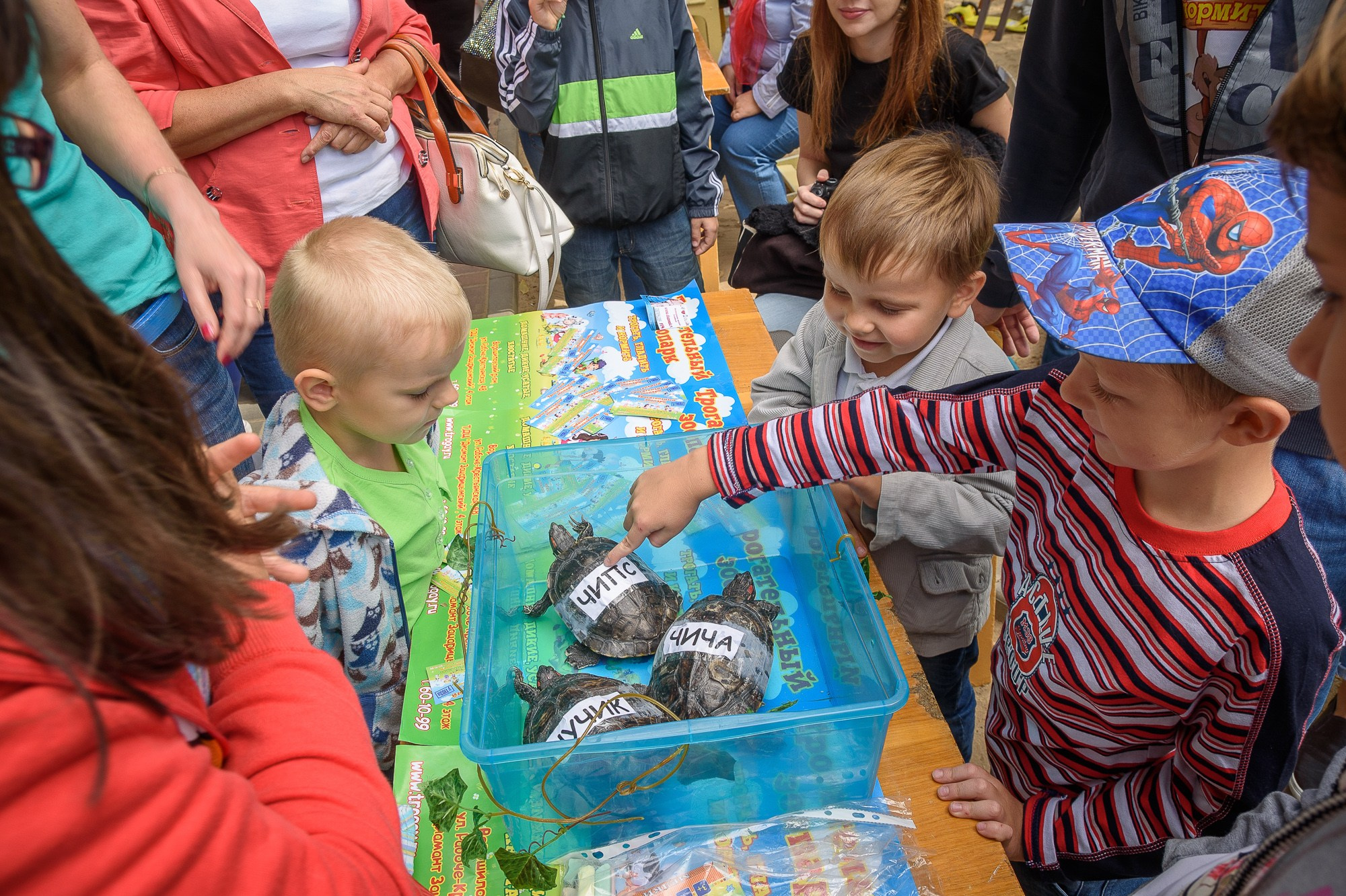 Дети гладят черепах, сидящий в контейнере