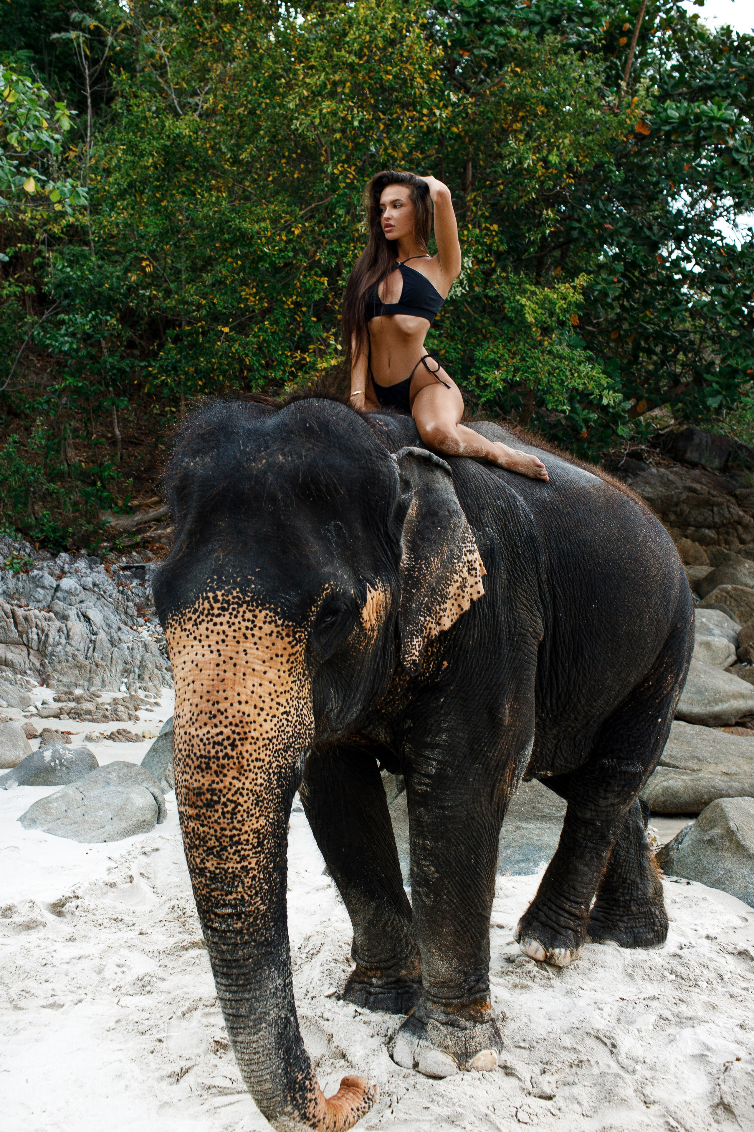 Фотосессия со слонами на Пхукете. Фотограф на Пхукете в Таиланде