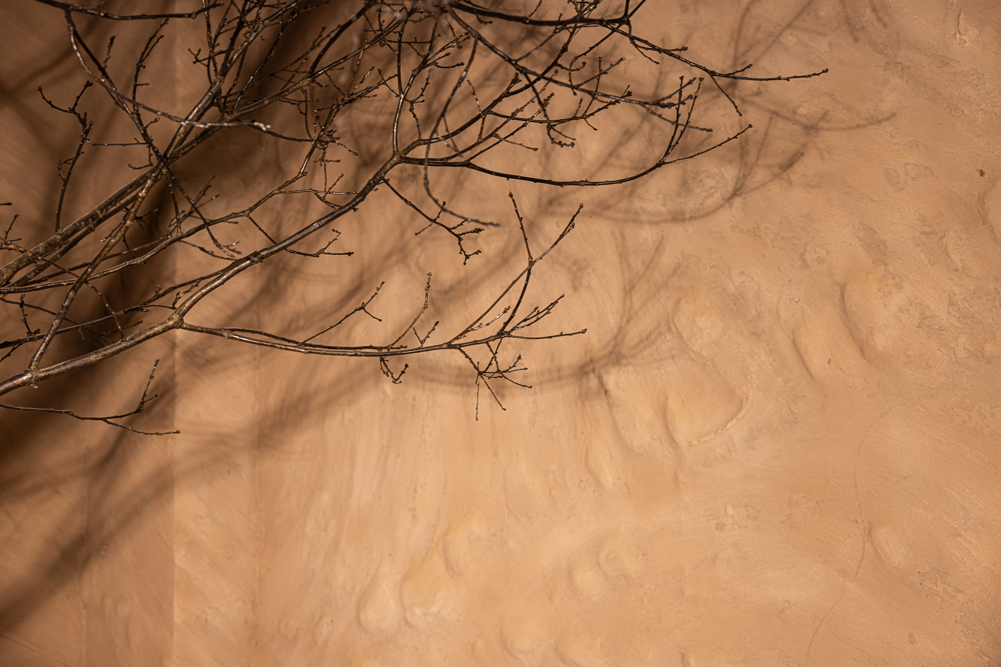 Photohub прочие залы. Фотограф в Минске Людмила Дутко