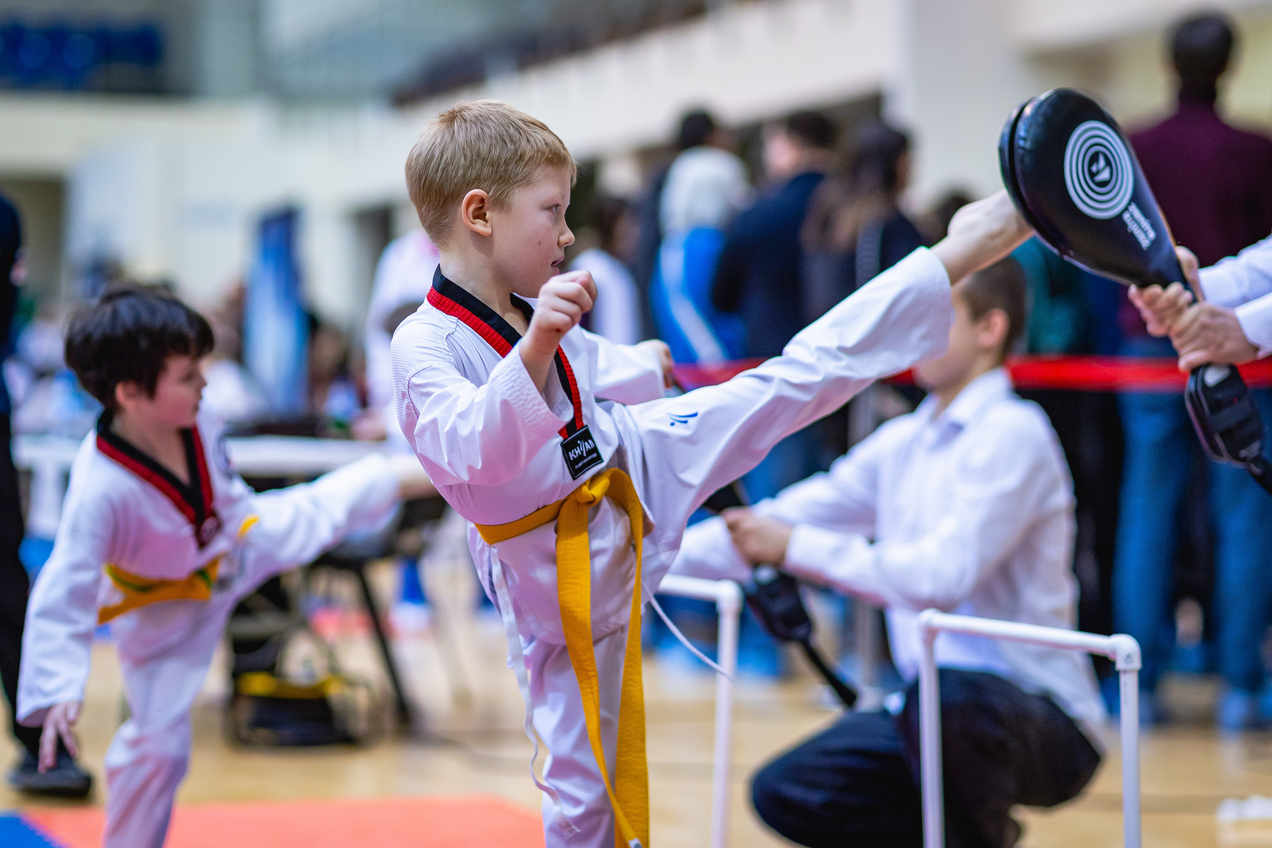 Первенство ВДЮФСОО «ФЕДЕРАЦИЯ ДЕТСКОГО ТХЭКВОНДО РОССИИ» и МОО СПКЕ «ЭРИДАН» по «СИЛОВОМУ МНОГОБОРЬЮ». Спортивный фотограф Максим Серегин