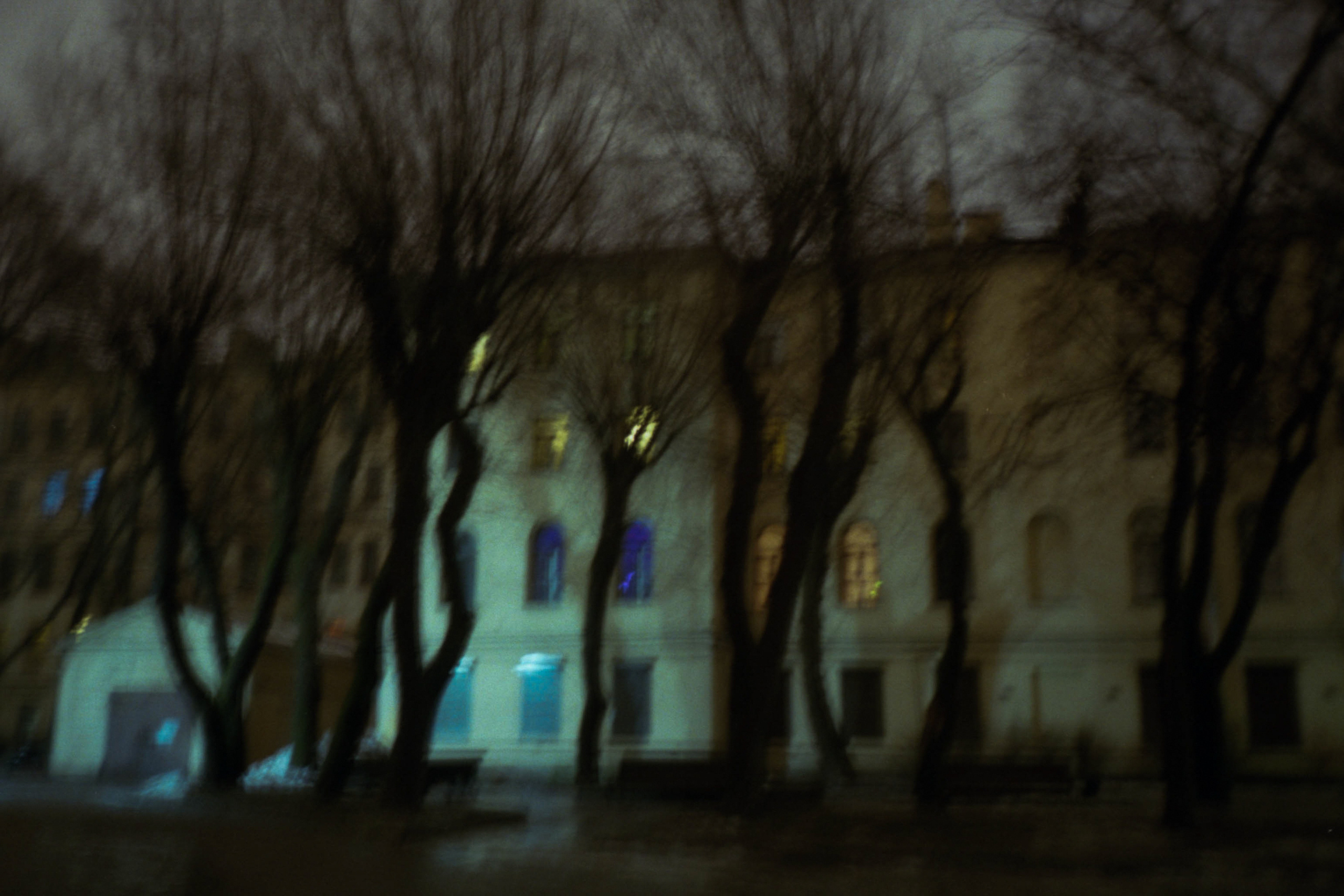 Echoes. Jane Efremova, artist and curator based in Belgrade, Serbia