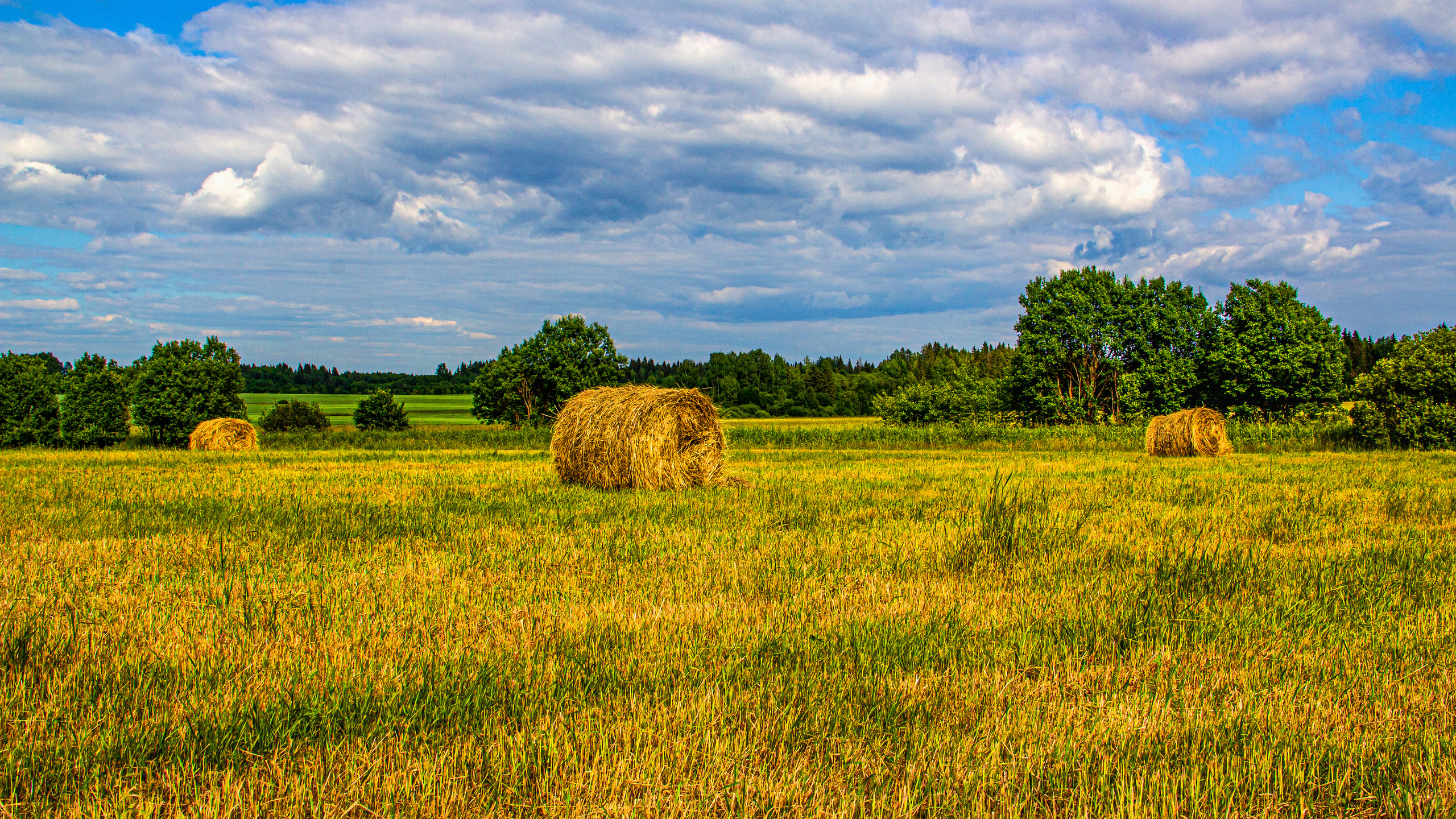 Site of landscape photographer Pavel Krainikov