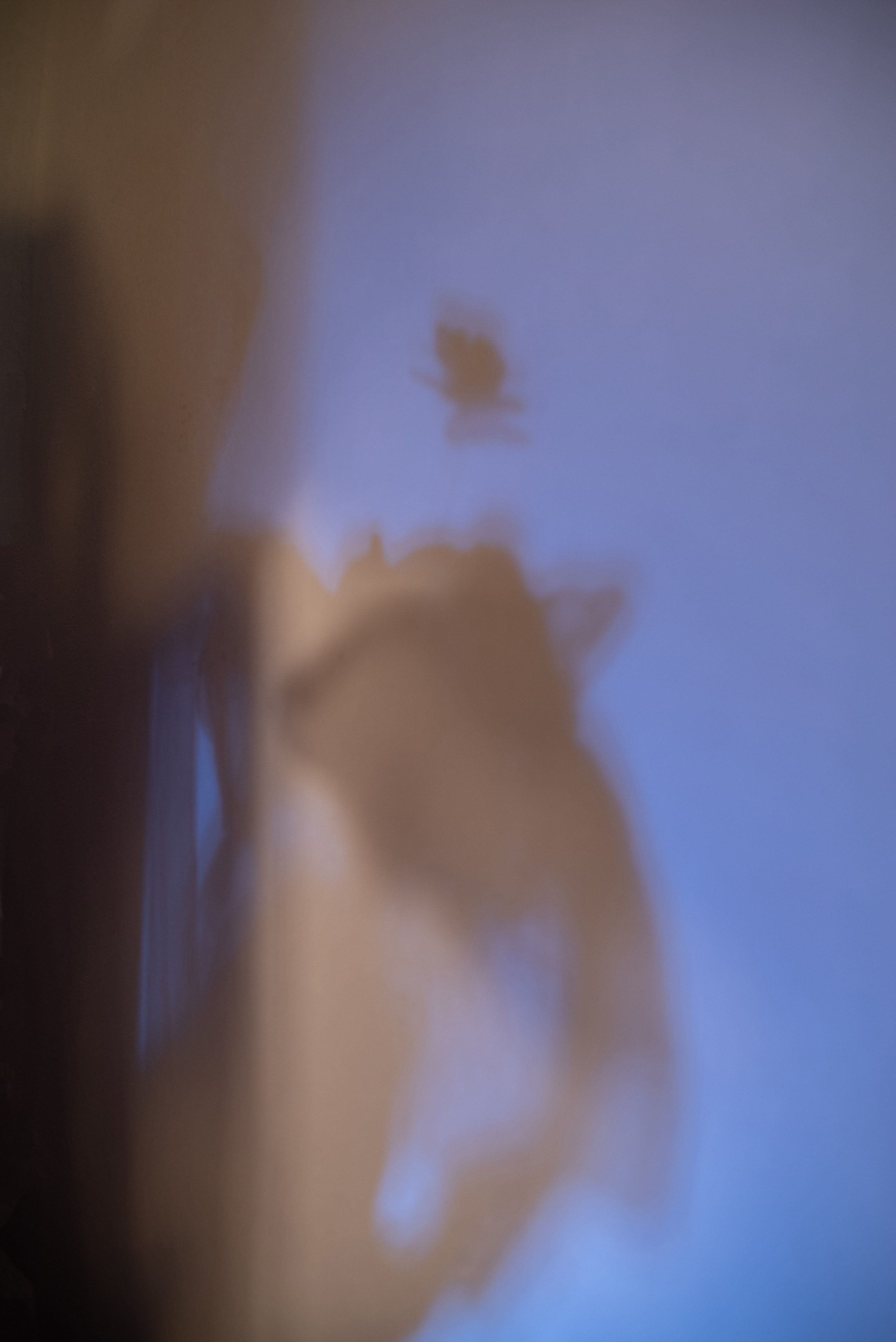 Волшебство внутри тебя. Фотограф Катерина Тюрина. Саратов