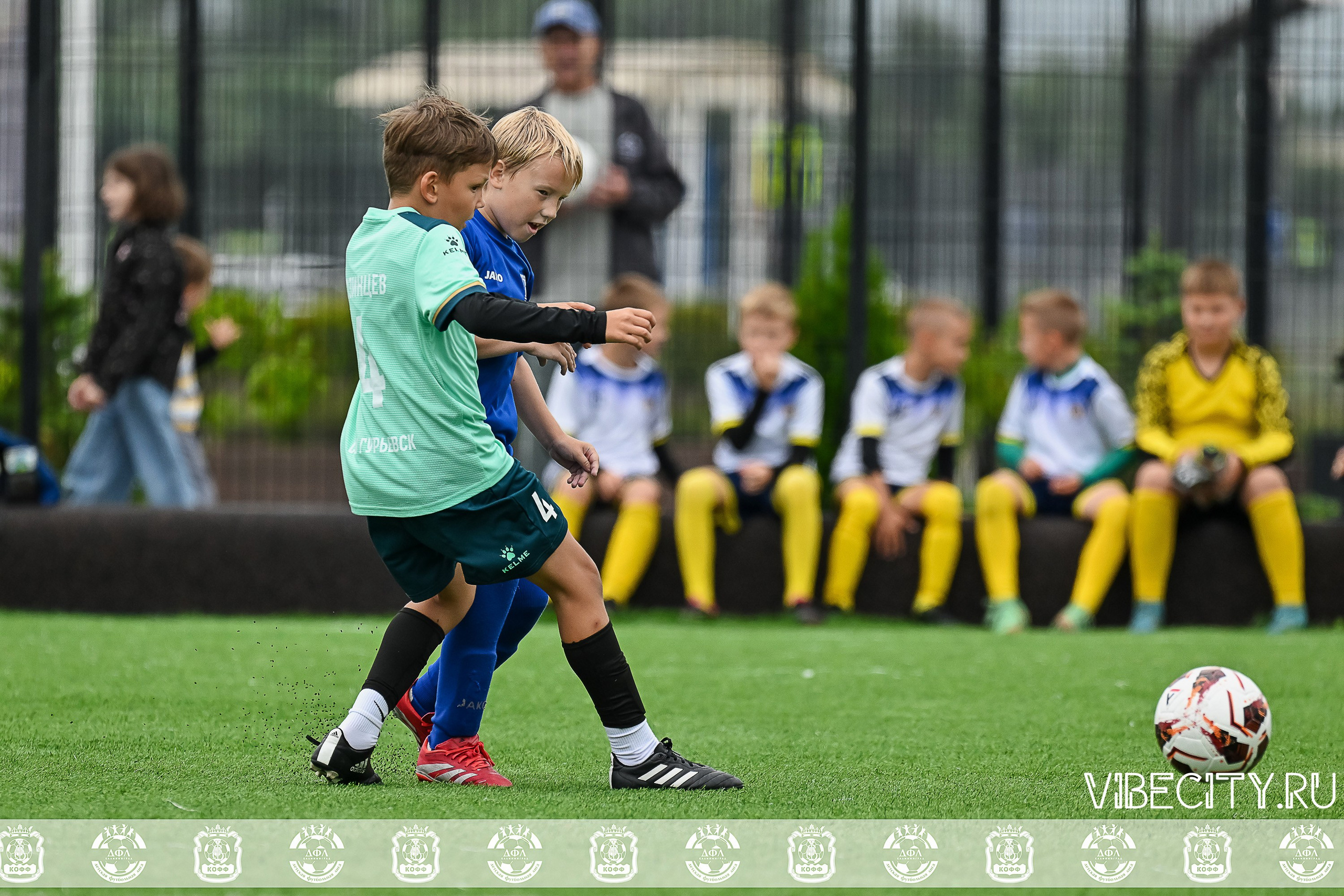 Калининградская Детская Футбольная Лига. VIBECITY.RU Вайб Сити Ру Фоторепортажи Фотоотчеты Калининград