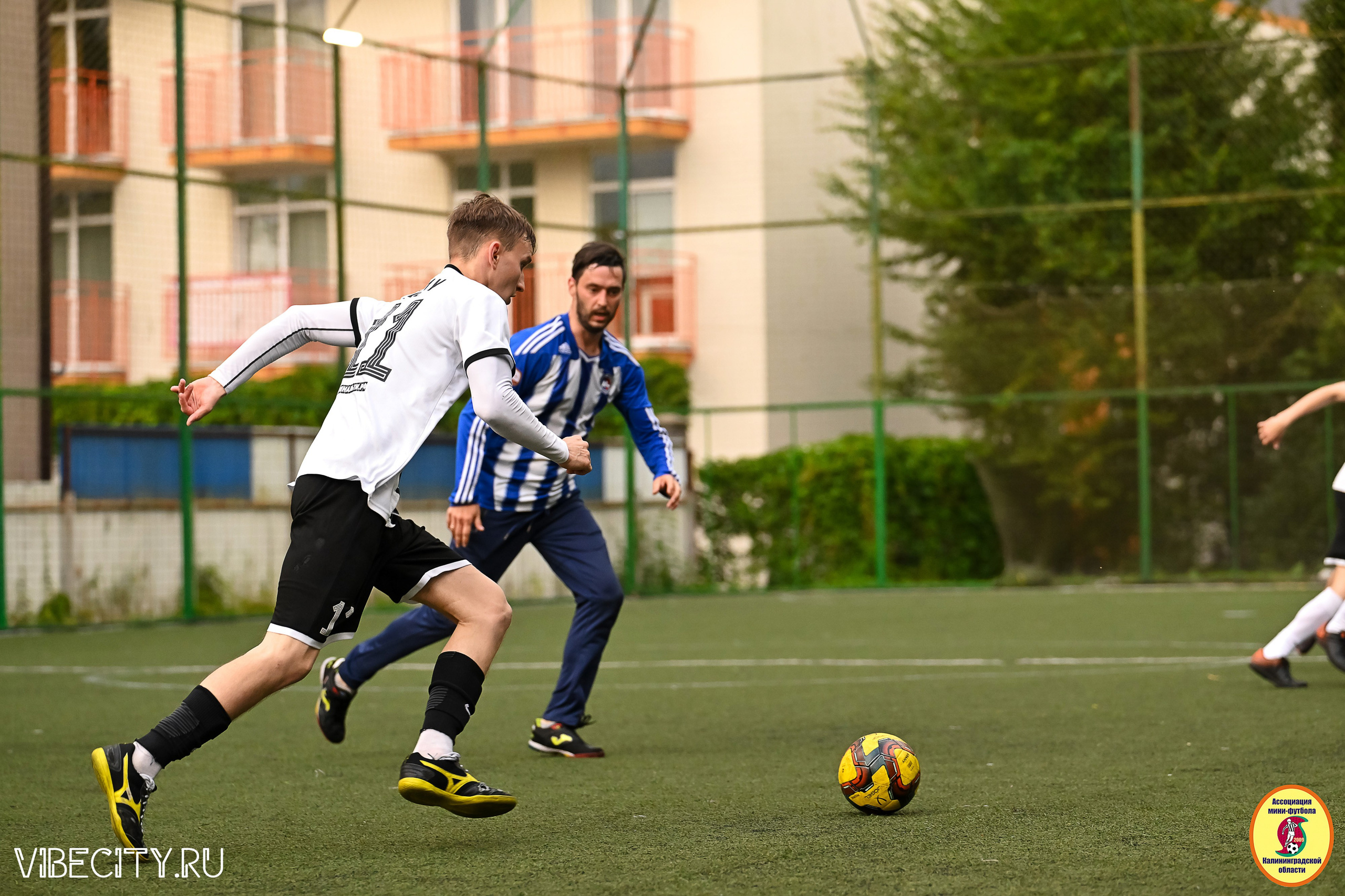 ИГРЫ МИНИ-ФУТБОЛЬНОЙ И КОРПОРАТИВНОЙ ЛИГИ. VIBECITY.RU Вайб Сити Ру Фоторепортажи Фотоотчеты Калининград
