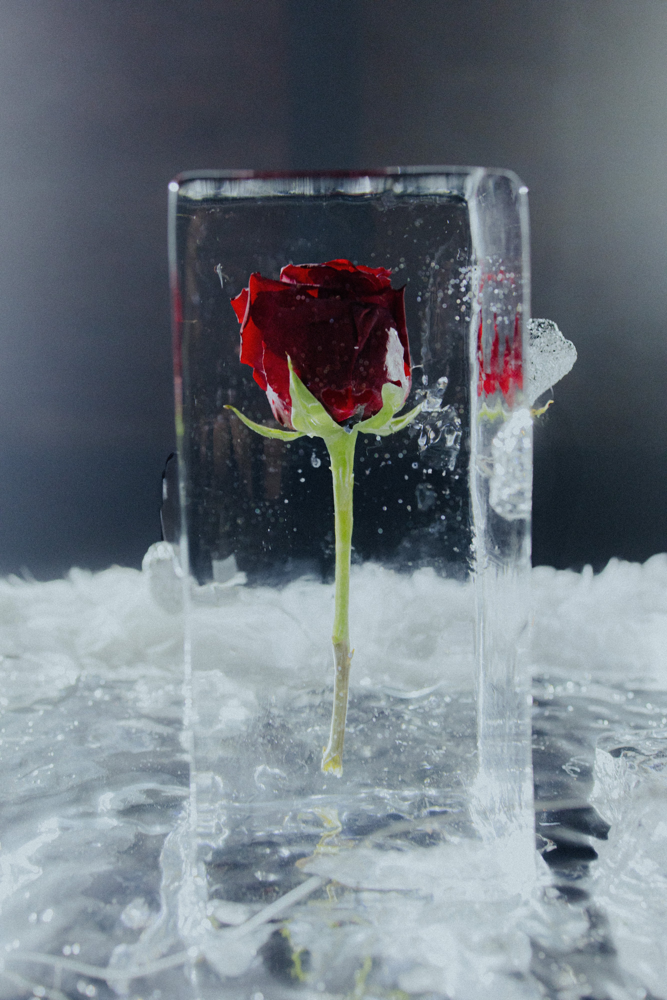 Свадебные серии — свадебный фотограф Владивосток, эмоции и стиль. Свадебный фотограф во Владивостоке