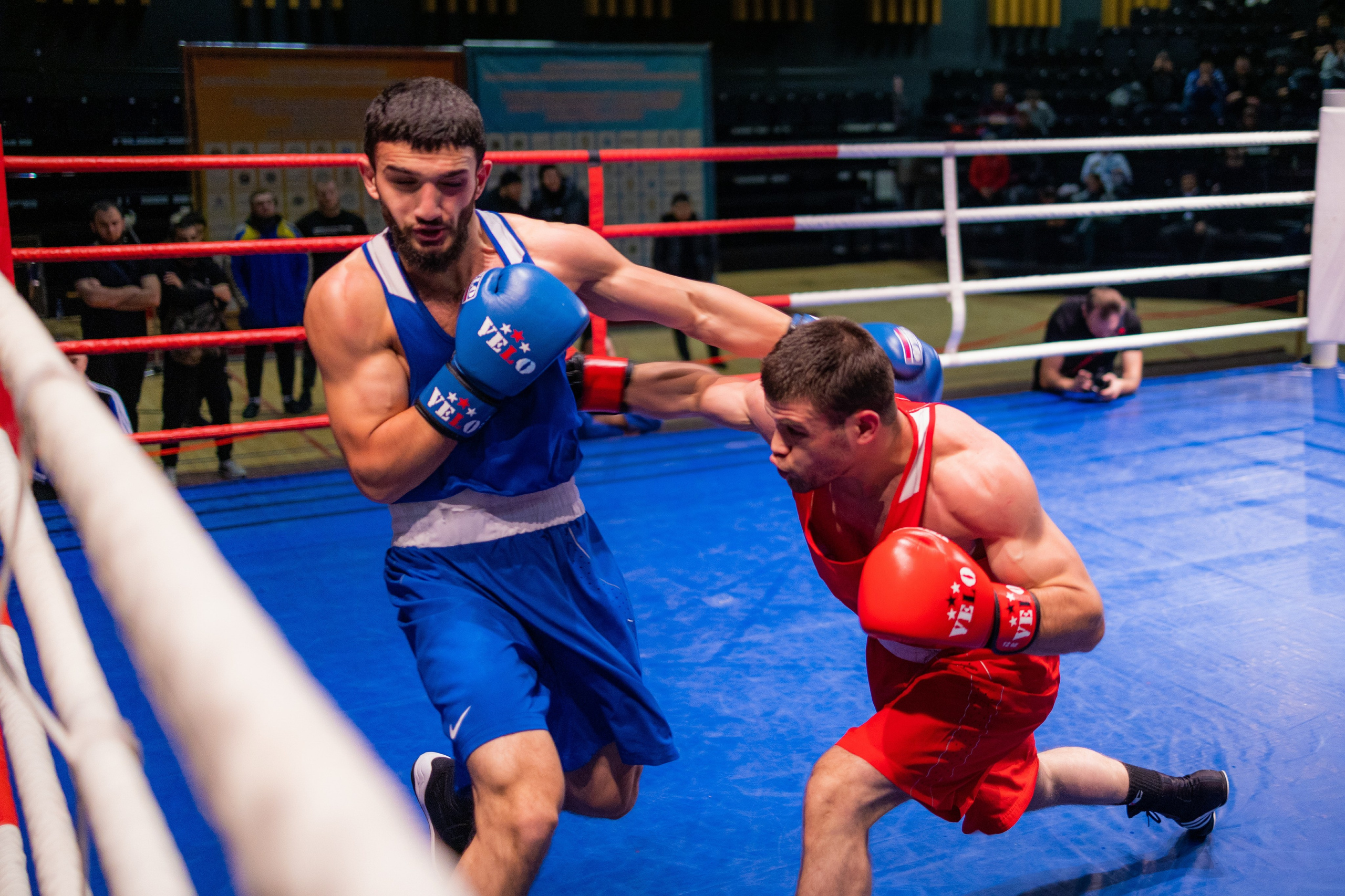 Студийный фотограф в Караганде Алексей Баранов. Фотограф Алексей Баранов. Фотостудия Flash. Семейные фотосессии в Караганде. Индивидуальные фотосессии, детские фотосессии, парные фотосессии в Караганде. Интерьерная фотосессия в Караганде. Семейный фотограф Алексей Баранов. Детский фотограф Алексей Баранов. Художественный фотограф Алексей Баранов. Свадебный фотограф Алексей Баранов. Черно-Белая съемка в Караганде. Самые лучшие семейный и детские фотосессии в Караганде. Контент Съемка в Караганде. SMM в Караганде. Контент фотограф Алексей Баранов. Фотограф Караганда. Фотограф. Предметный фотограф Алексей Баранов. спортивный фотограф. спорт. mma. бокс. спорт в Казахстане. фото спорта. соревнования. спортивный фотограф Алексей Баранов