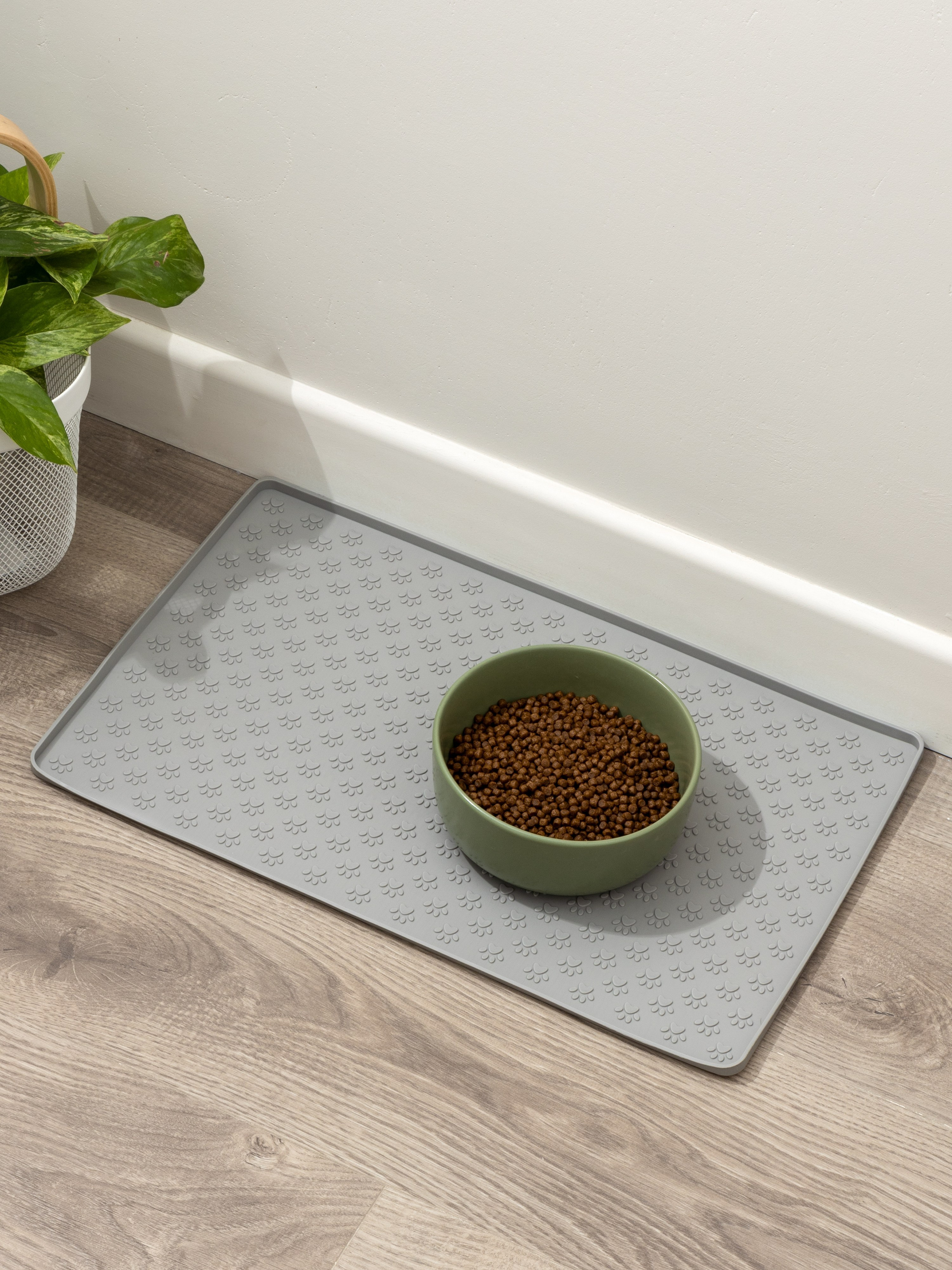 Съемка товаров для животных. Предметная фото и видеосъемка в Краснодаре | Профессиональные продающие фото