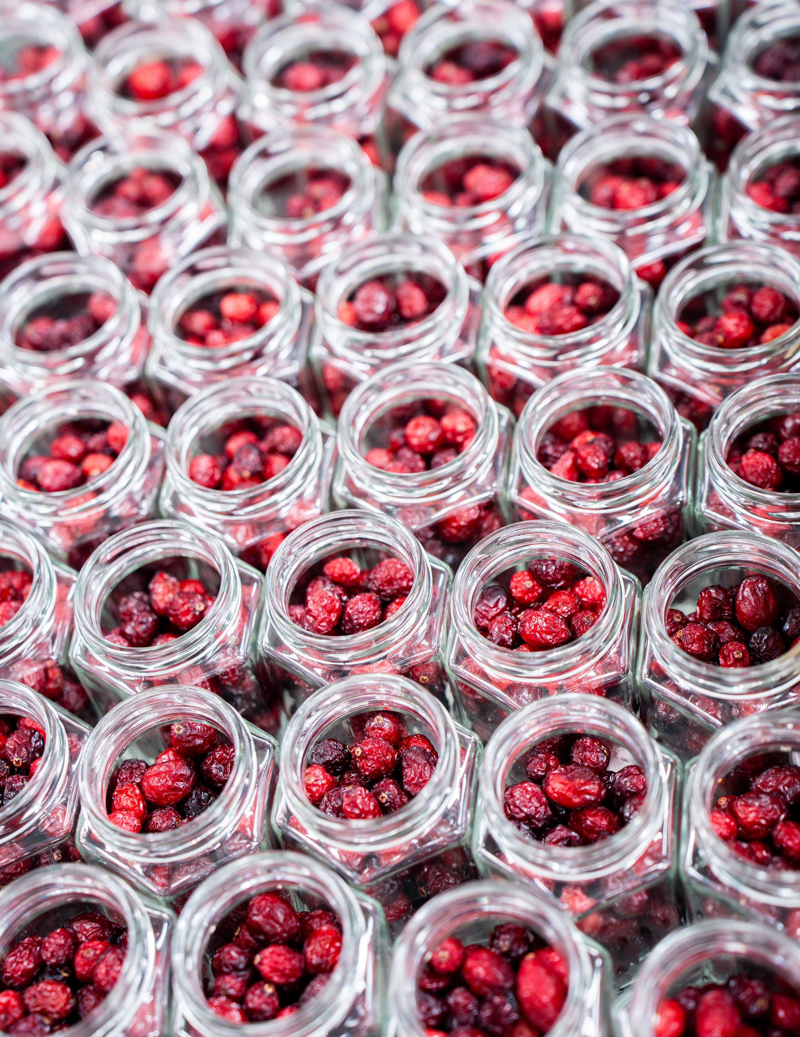 Репортажный фотограф в Москве Вадим Галанин