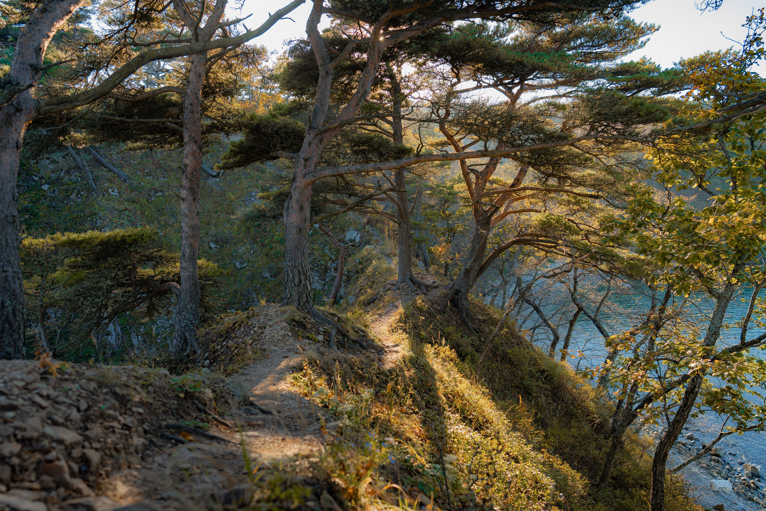 Бухта Льва | Мыс Сосновый. Иван Зайцев (IZIART) — создание культурного кода через фото и видео