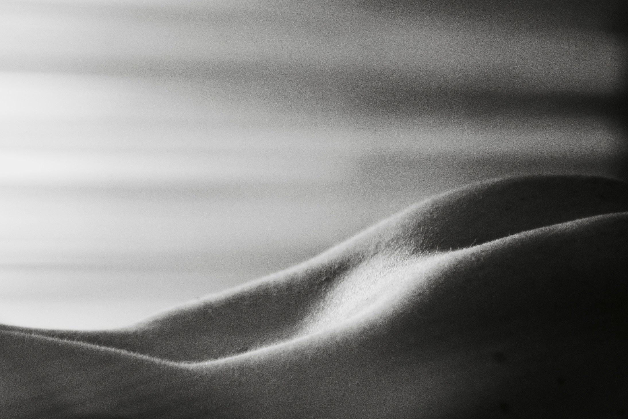 INTIMATE WORLD. Family Lifestyle Photographer in Lucca, Italia