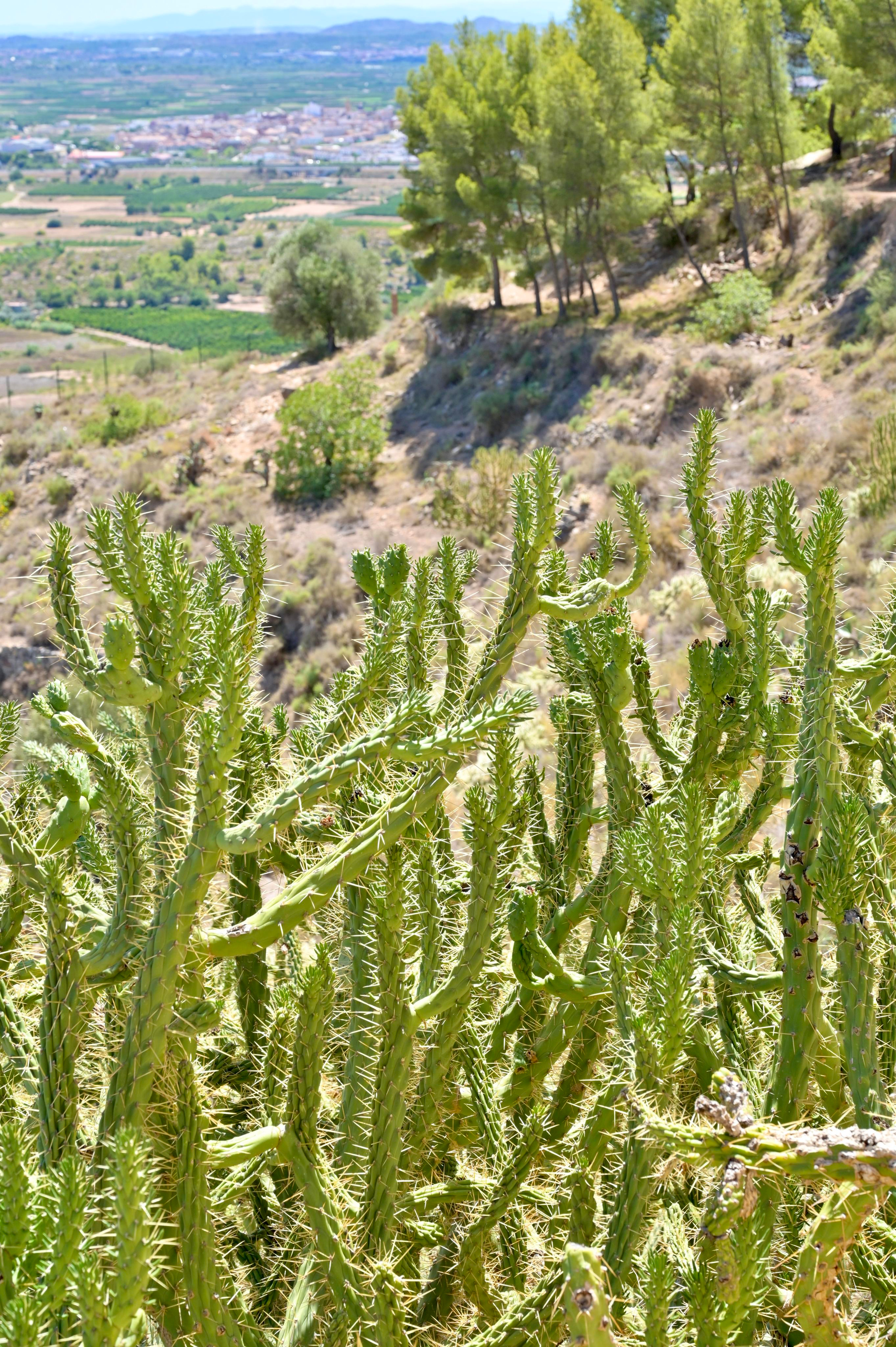 Лирия (Liria, España). Гид и фотограф в Валенсии Новиков Михаил